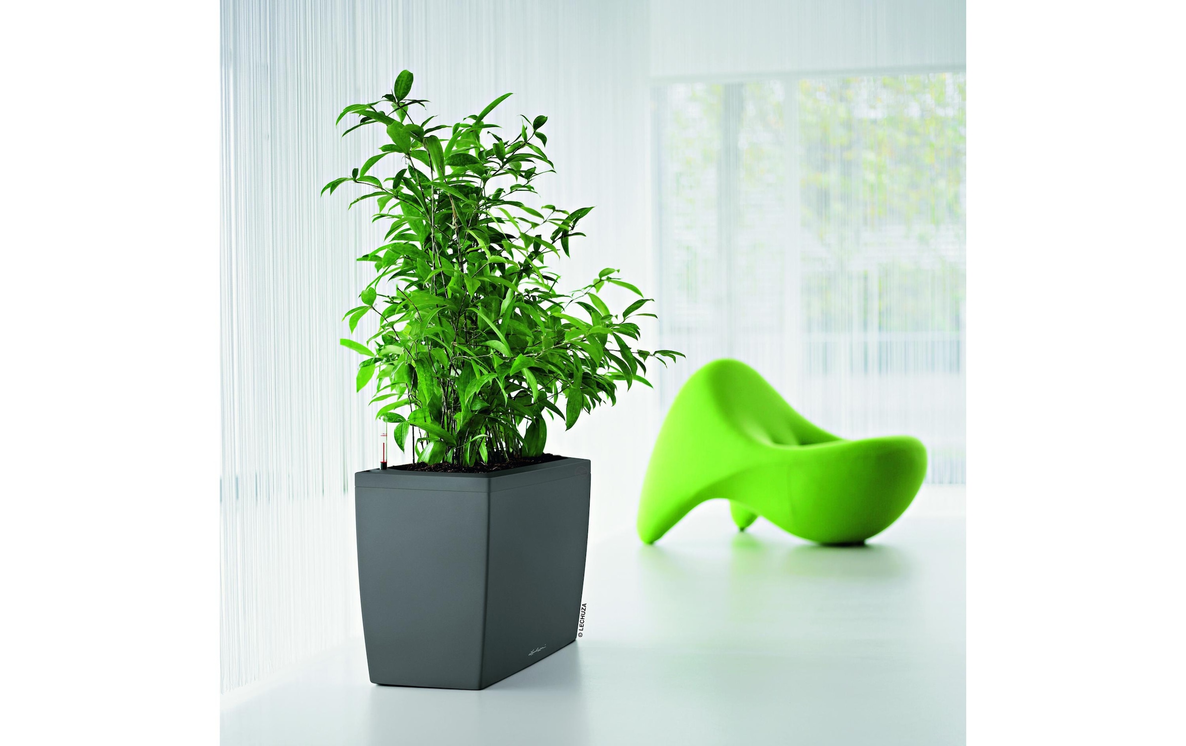   Bewässerungssystem »Lechuza CARARO Premium« ()  Rechteckiges Selbstbewässerungssystem