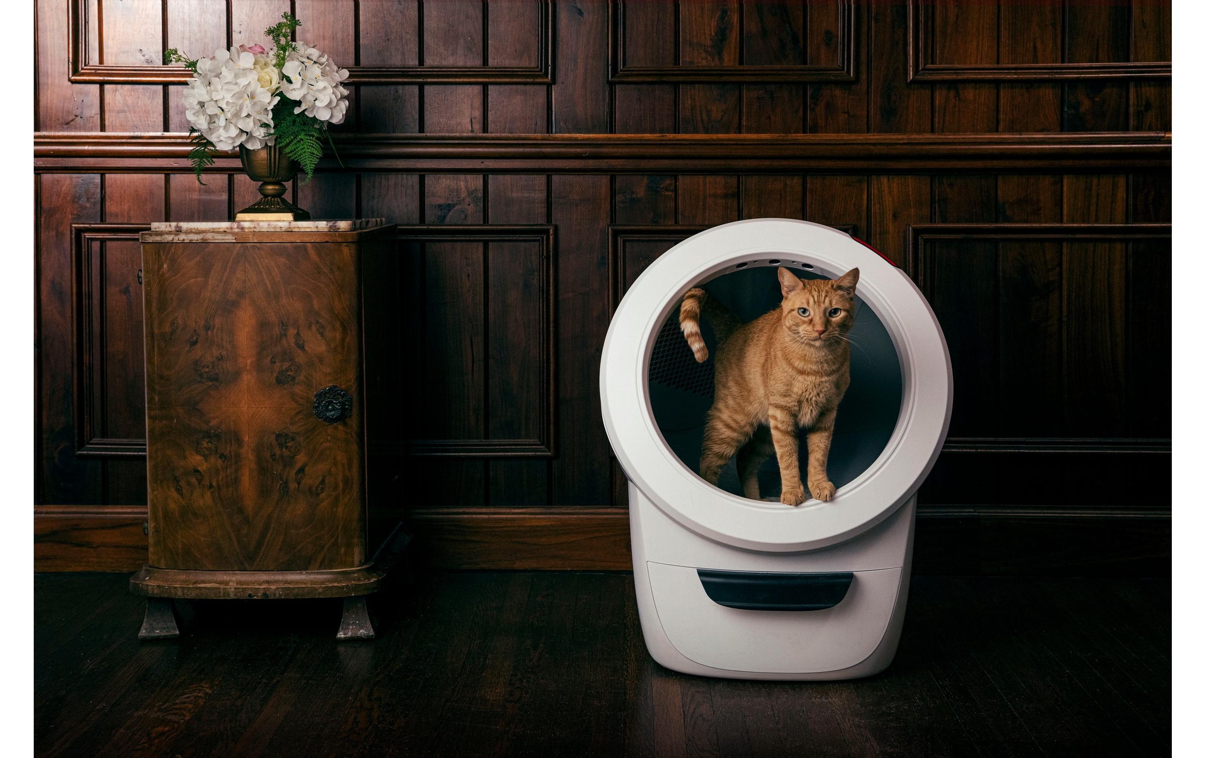 Katzentoilette »Litter-Robot Katzentoilette Litter Robot 4«