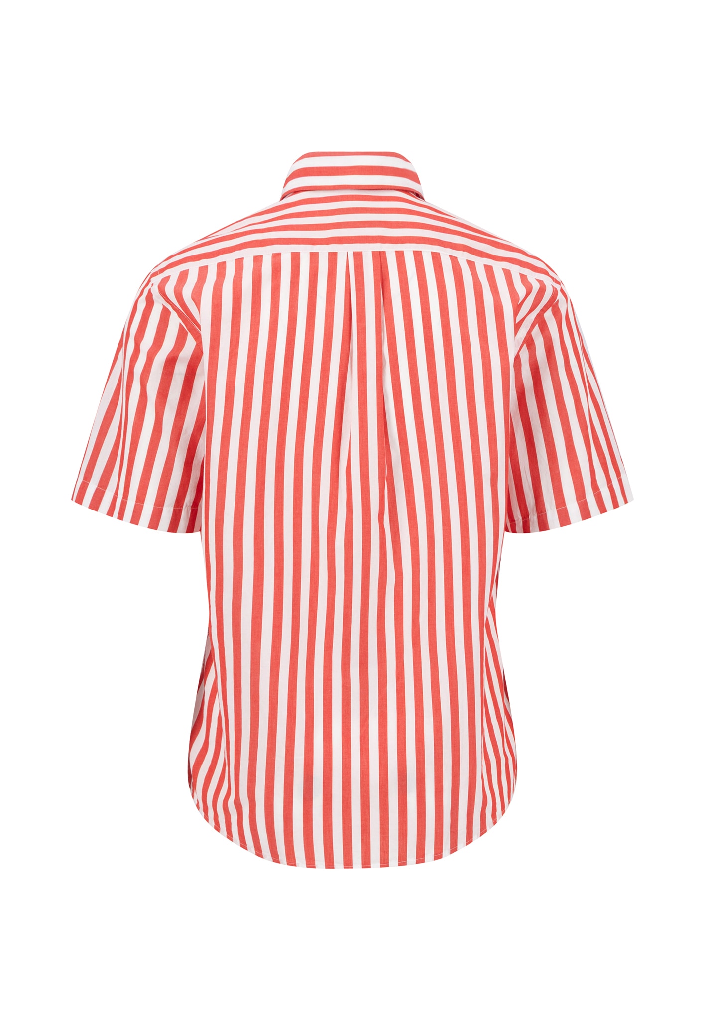 FYNCH-HATTON manches courtes, en coton, rayé, coupe Regular Fit, avec col Kent