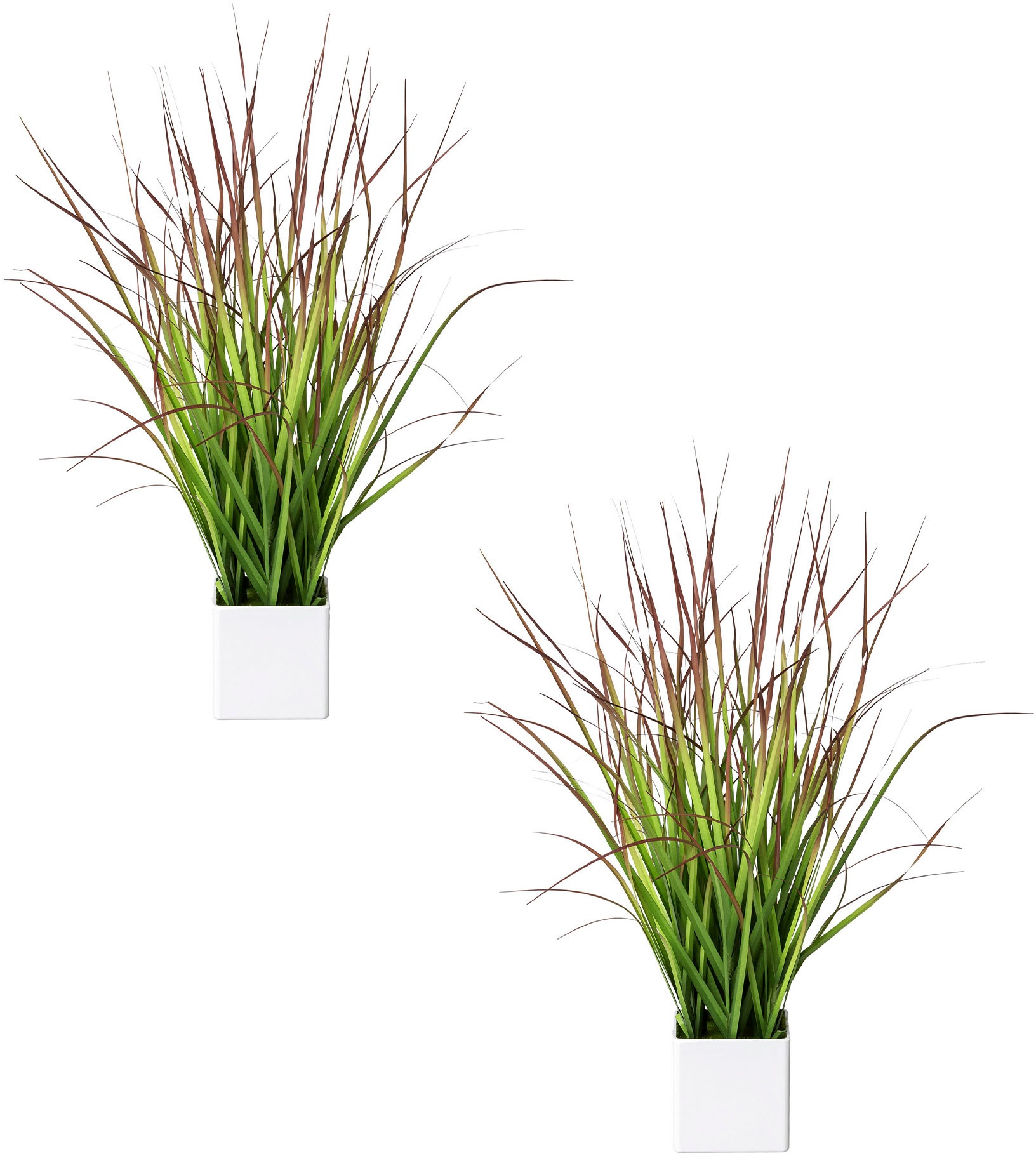 Image of Creativ green Kunstgras »Blutgras«, (2 St.), im weissen Kunststofftopf bei Ackermann Versand Schweiz