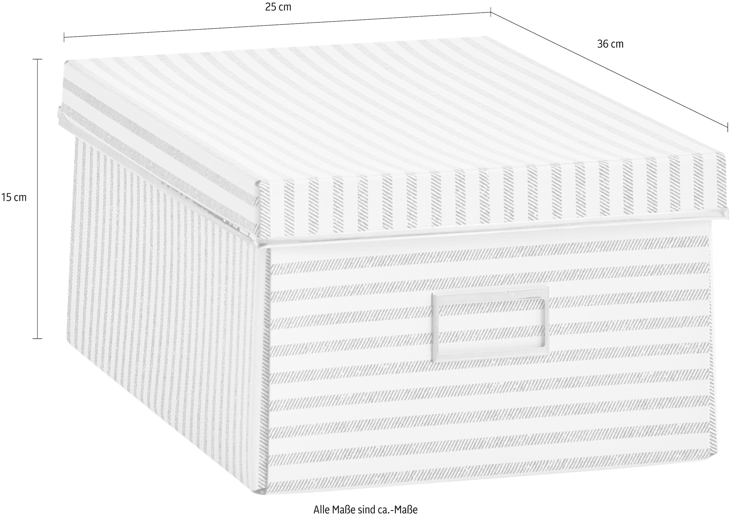 ♕ Zeller Pappe, auf beige Present Aufbewahrungsbox »Stripes«, versandkostenfrei