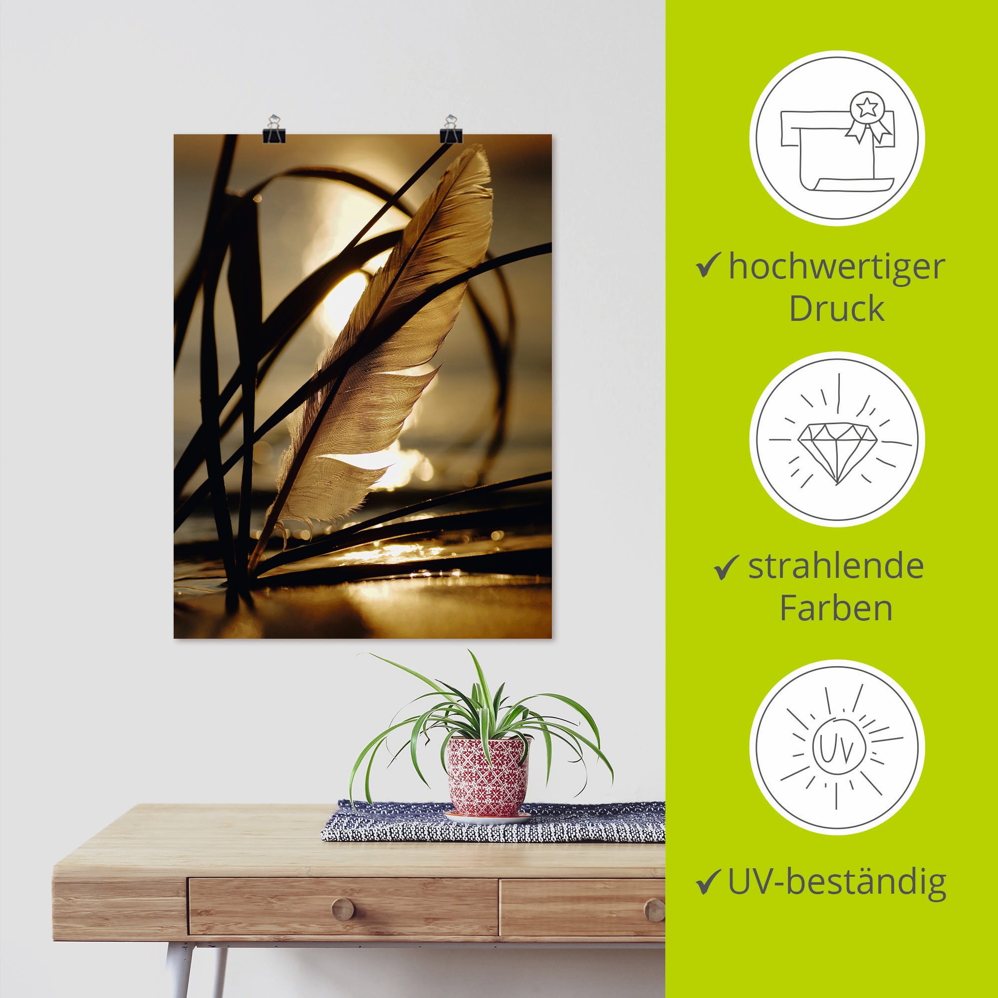 Artland Wandbild »Feder im Abendlicht« Gräser 1 Stk. tlg. als Leinwandbild, Poster in verschied. Grössen