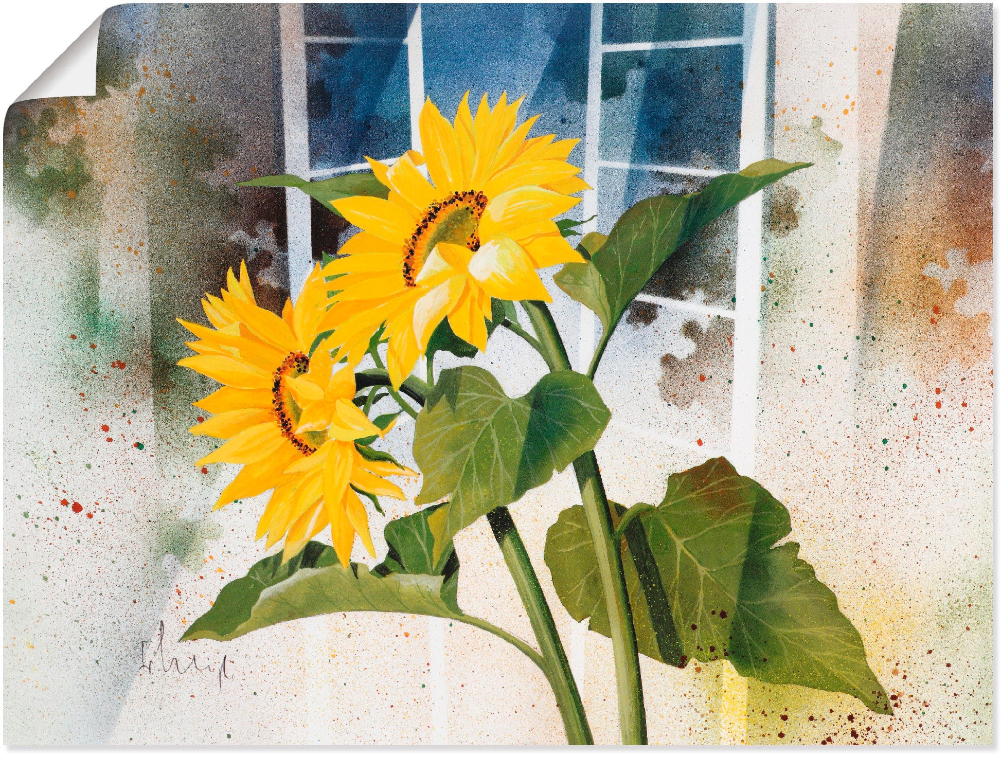 Image of Artland Wandbild »Ansicht mit Clematis«, Blumen, (1 St.), in vielen Grössen & Produktarten -Leinwandbild, Poster, Wandaufkleber / Wandtattoo auch für Badezimmer geeignet bei Ackermann Versand Schweiz