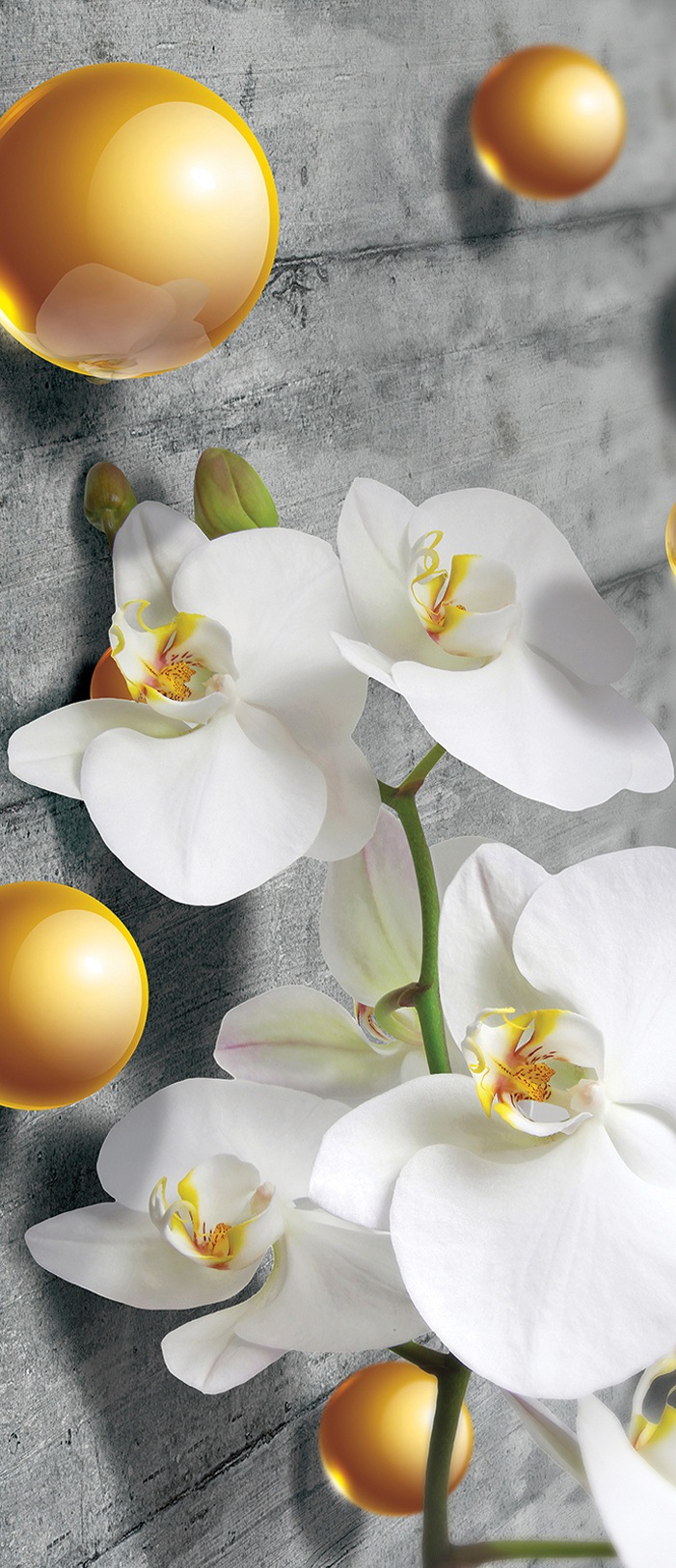 Image of Consalnet Vliestapete »ORCHIDEE«, grafisch, 211 x 91 cm bei Ackermann Versand Schweiz