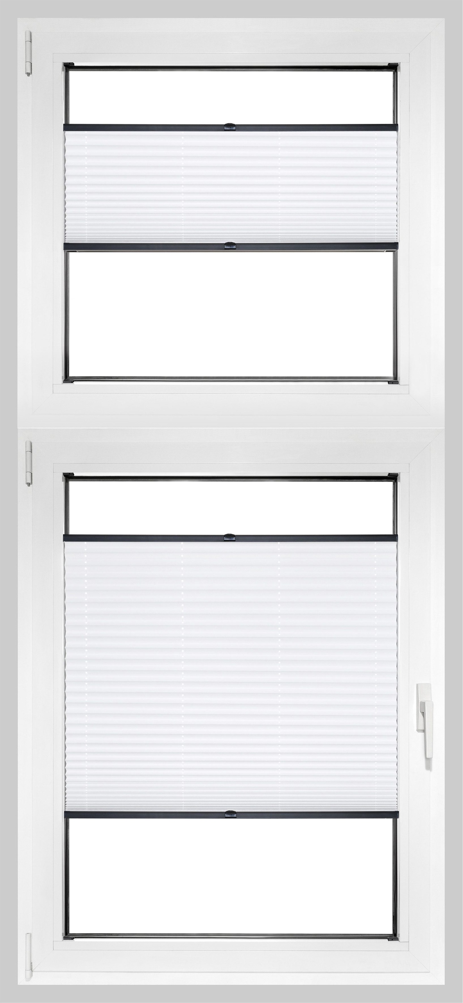 Image of Good Life Plissee nach Mass »Rena«, verdunkelnd, energiesparend, mit Bohren, verspannt, schwarze Profilschiene bei Ackermann Versand Schweiz