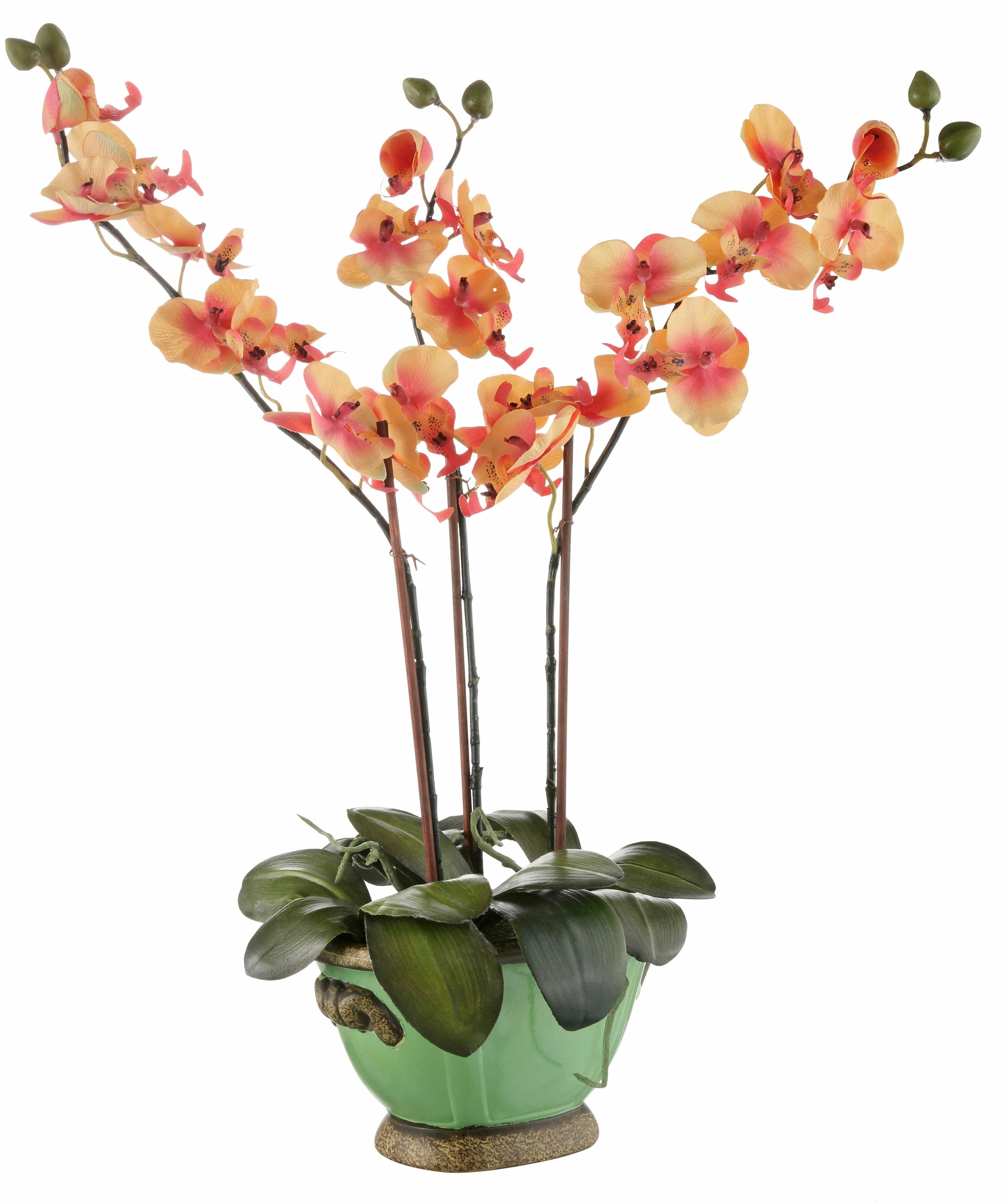 I.GE.A. Kunstpflanze »Orchidee« acheter confortablement