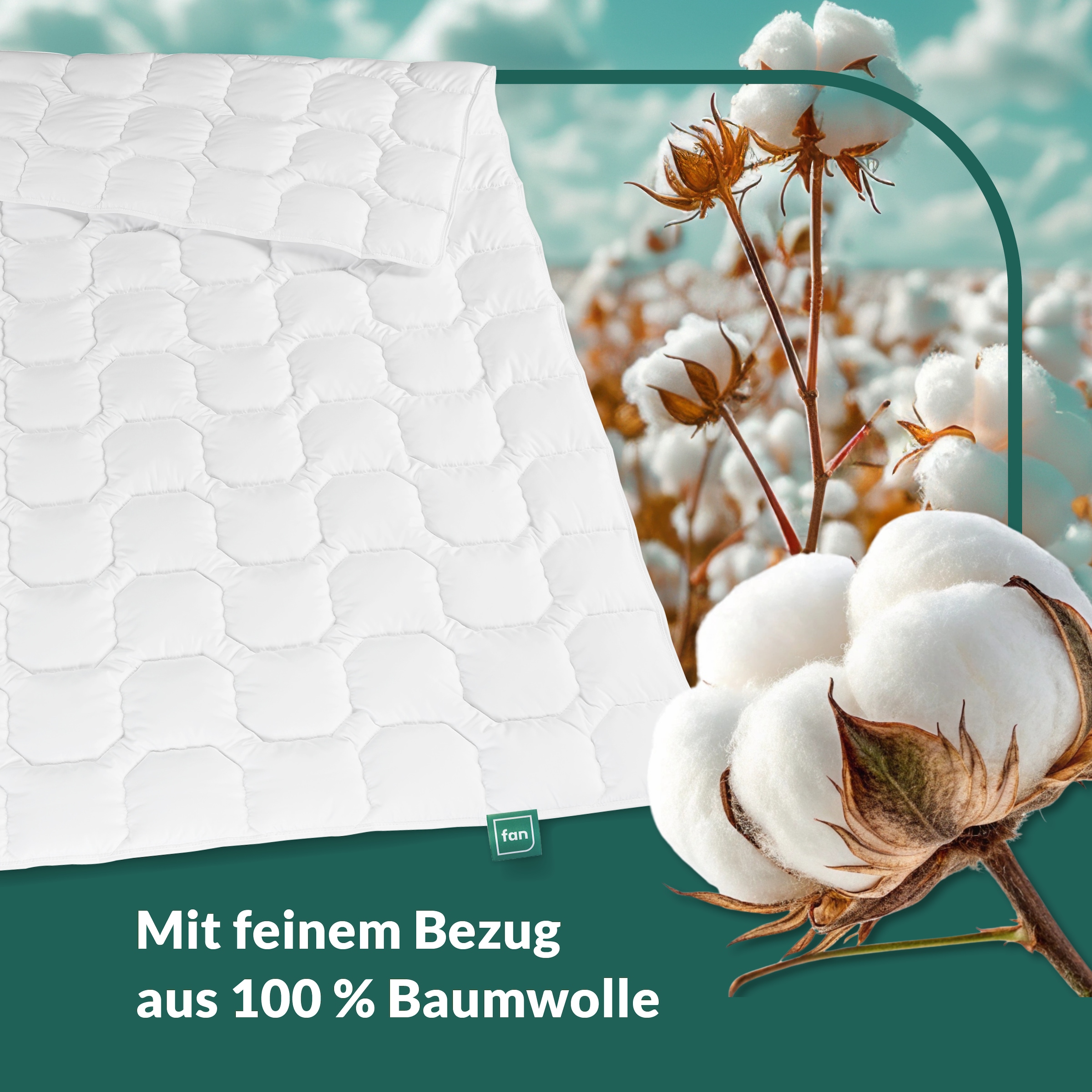 fan Couette en coton »Kansas, Bettdecken für Sommer und Winter, Decke« léger Füllung 100 % coton 1 cuis tlg. Couette 135x200 cm, 155x220 cm et autres tailles, Made in Germany