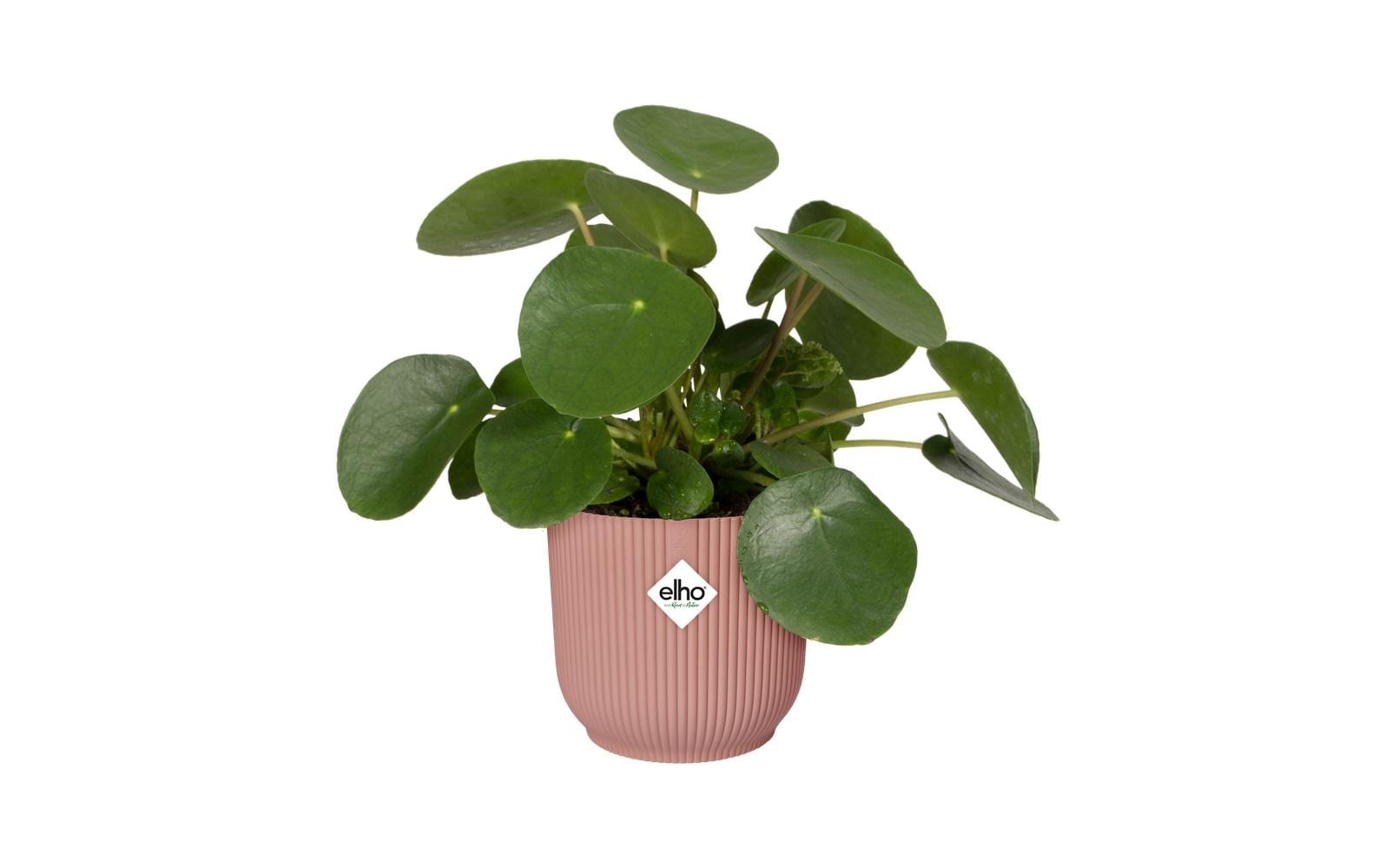Elho Blumentopf "Vibes Fold Rund 35 cm"