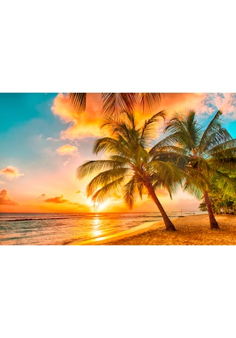 Fototapete »Barbados Palm Beach«, matt