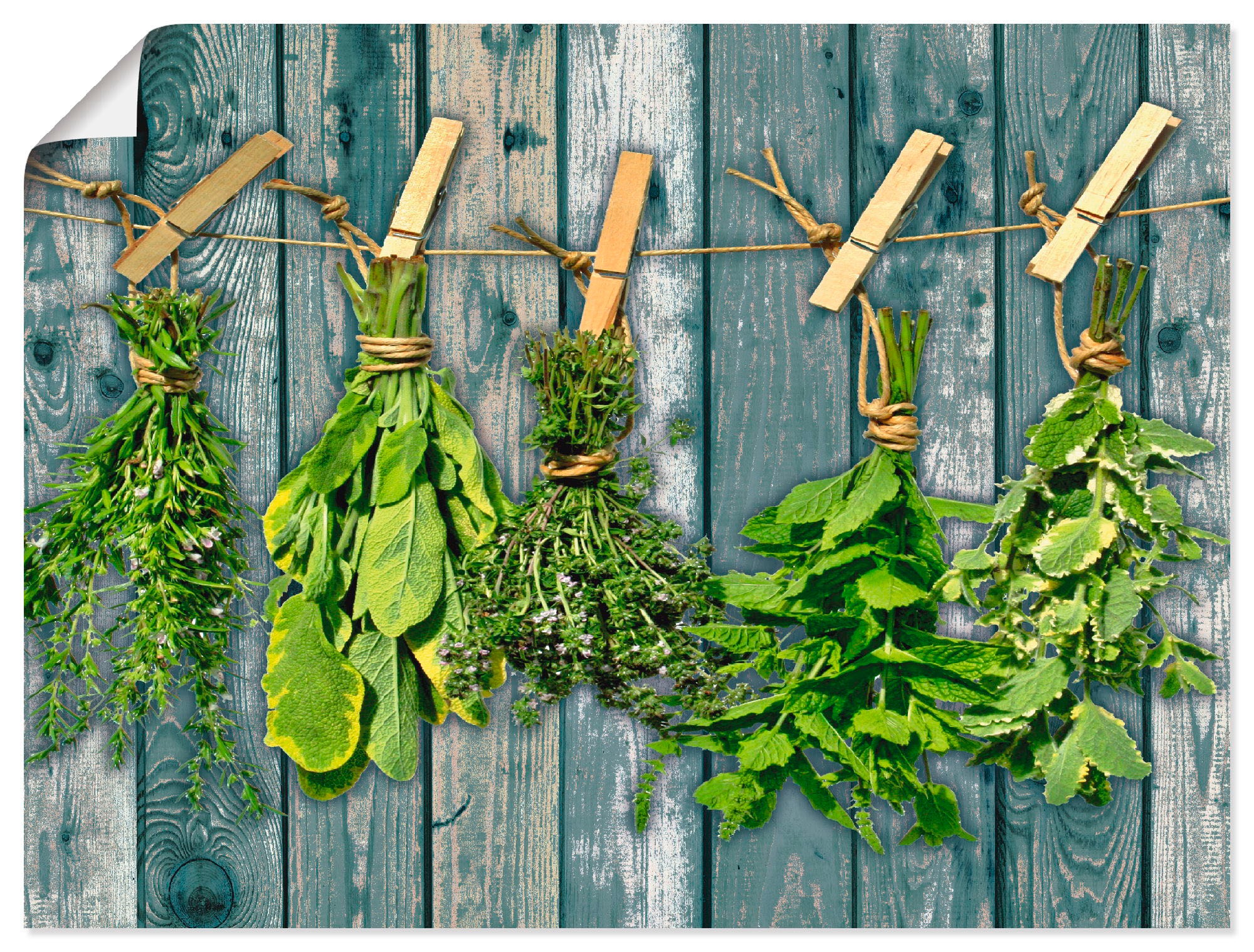 Image of Artland Wandbild »Kräuter mit Holzoptik«, Pflanzen, (1 St.), in vielen Grössen & Produktarten - Alubild / Outdoorbild für den Aussenbereich, Leinwandbild, Poster, Wandaufkleber / Wandtattoo auch für Badezimmer geeignet bei Ackermann Versand Schweiz