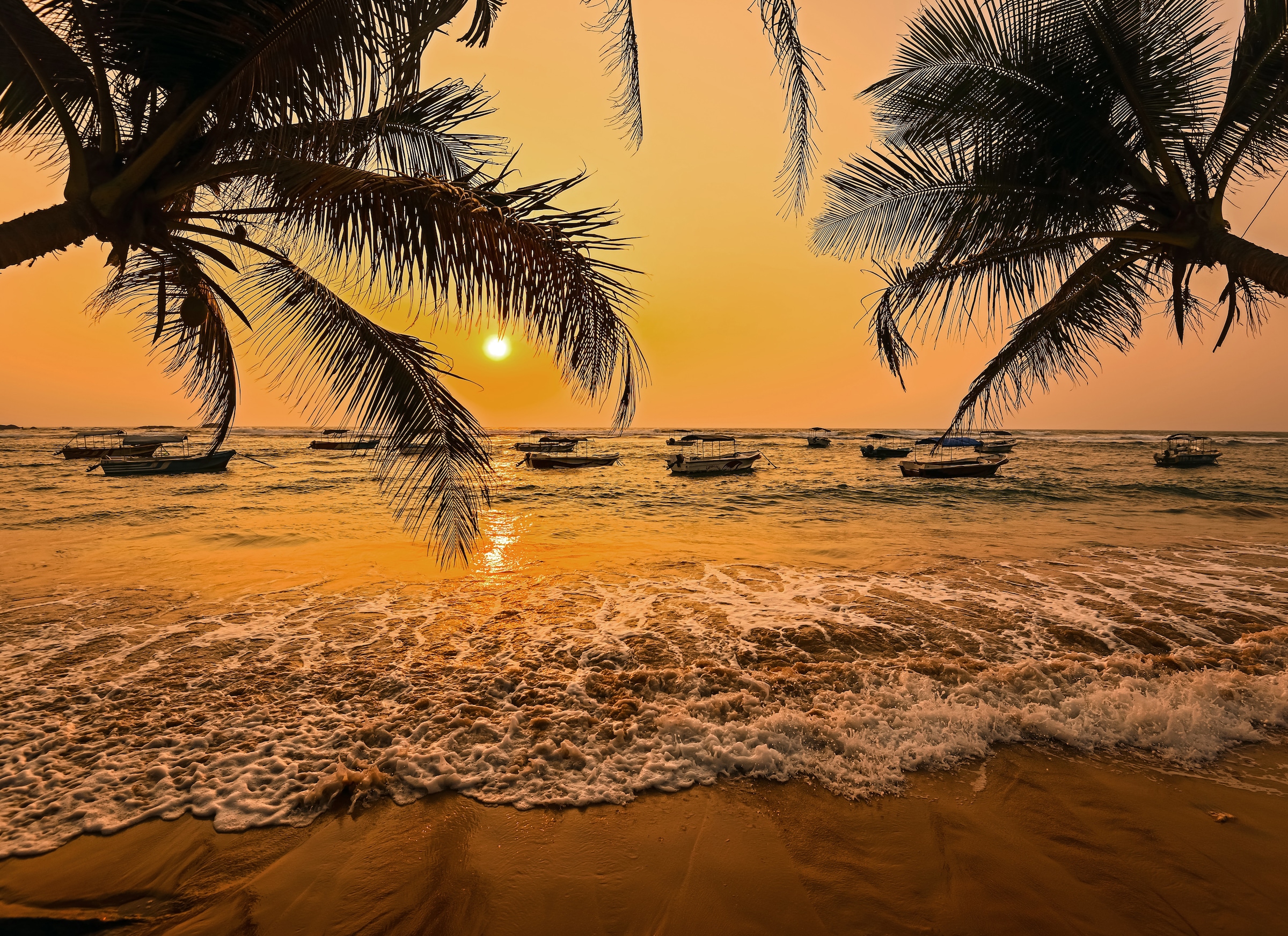 Image of Papermoon Fototapete "Sri Lanka Palm Beach" glatt