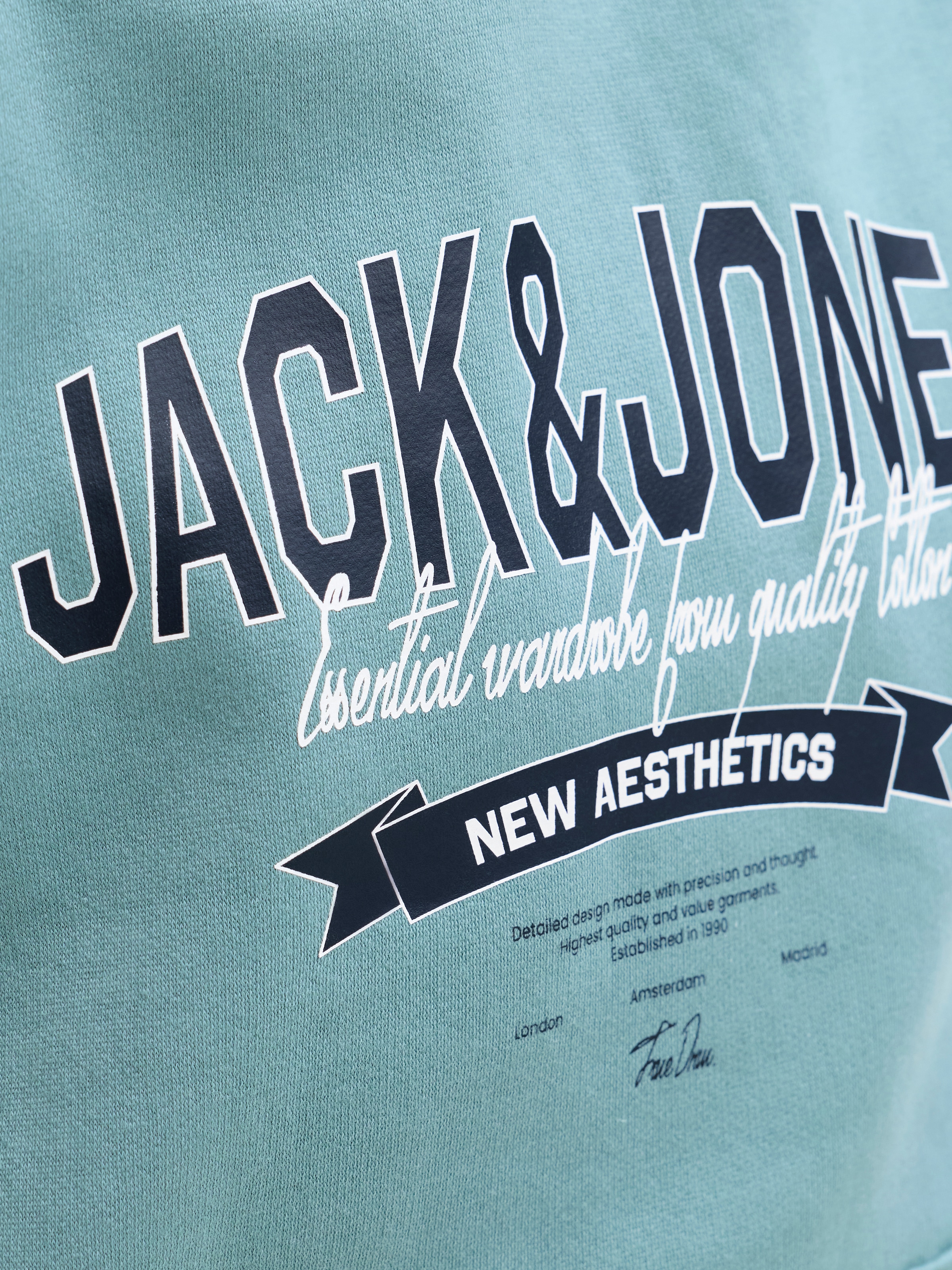Jack & Jones Junior Sweat à capuche »JJELOGO SWEAT HOOD 2 COL AW25 NOOS JNR«
