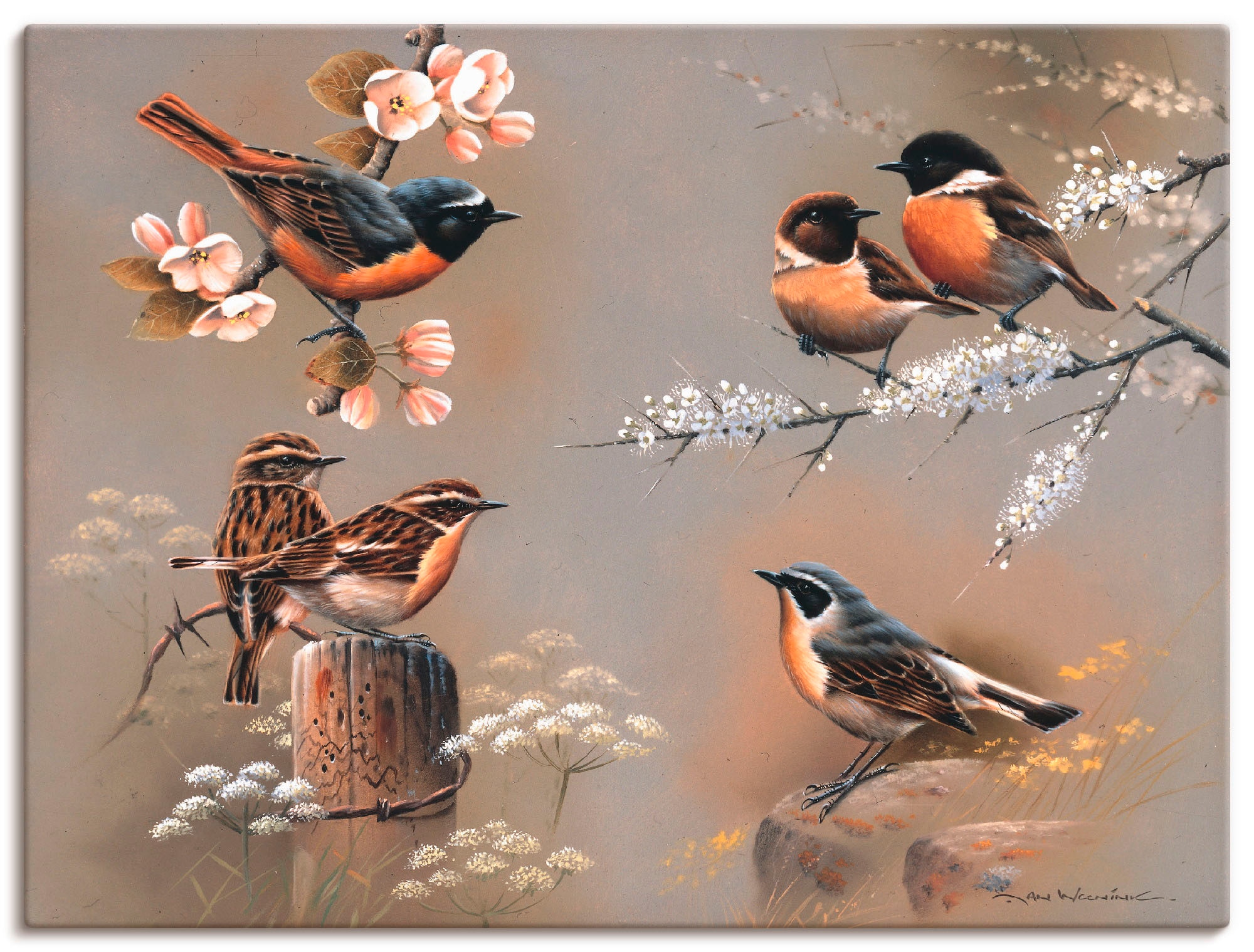 Image of Artland Leinwandbild "Vogel Komposition" Vögel 1 Stk. tlg. auf Holzrahmen gespannt