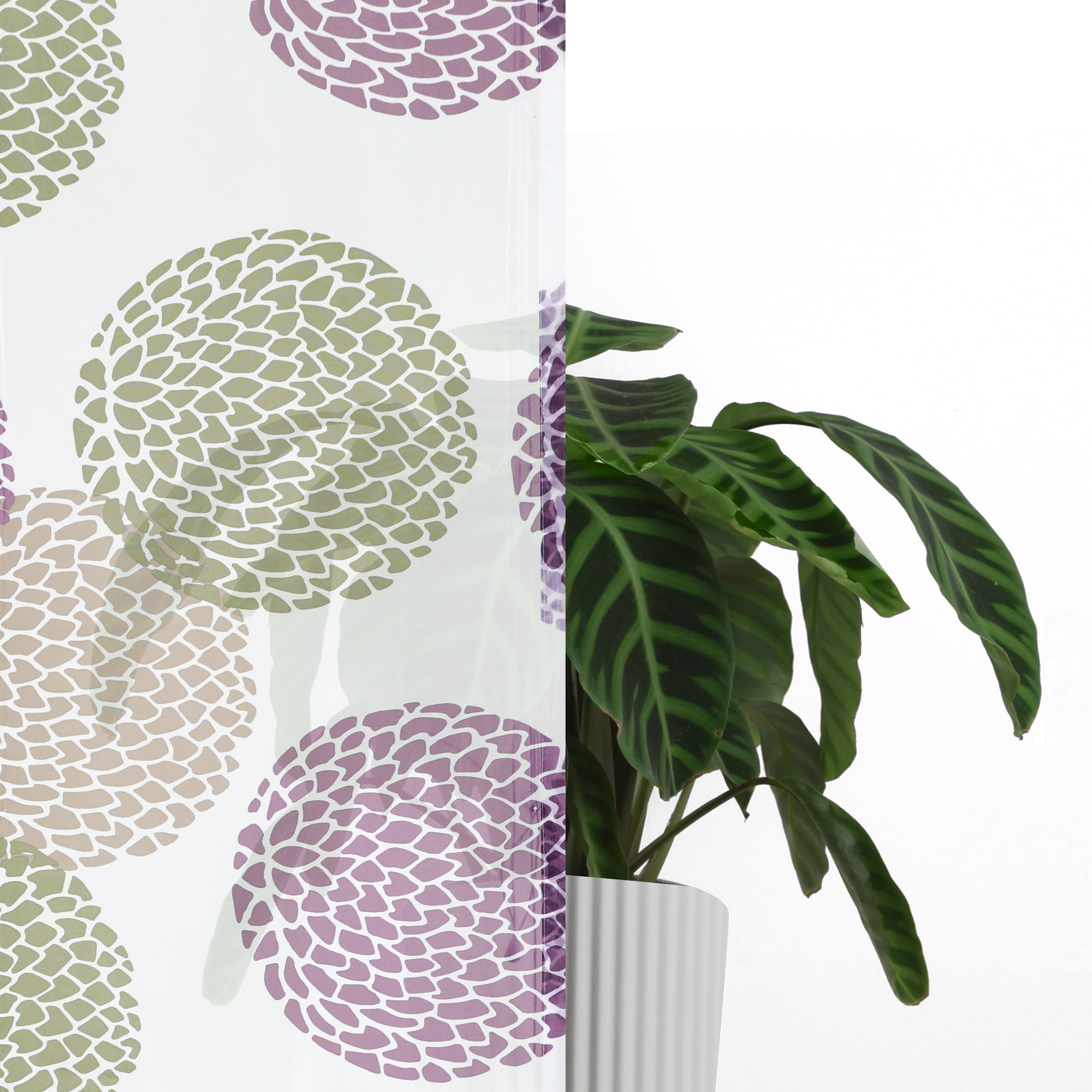 my home Raffrollo »Belem« mit Schlaufen Transparent, Voile, Polyester