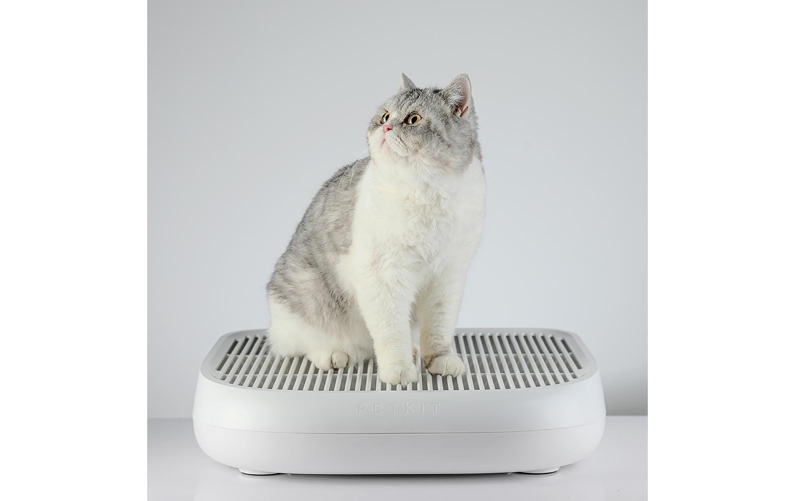 PETKIT Katzentoilette
