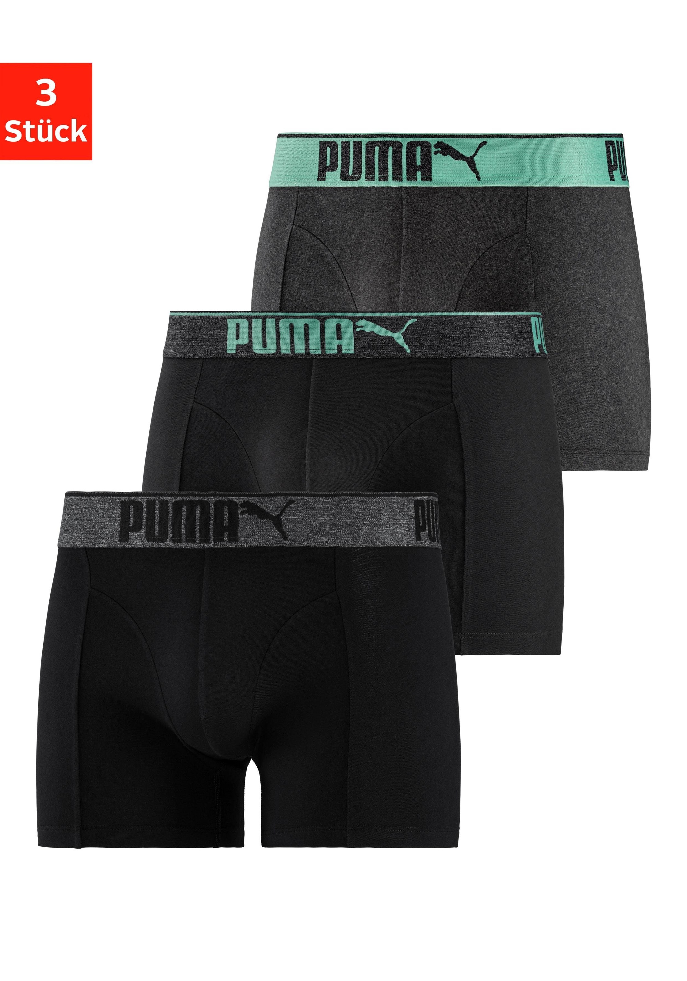 Image of PUMA Boxer, (3 St.) bei Ackermann Versand Schweiz