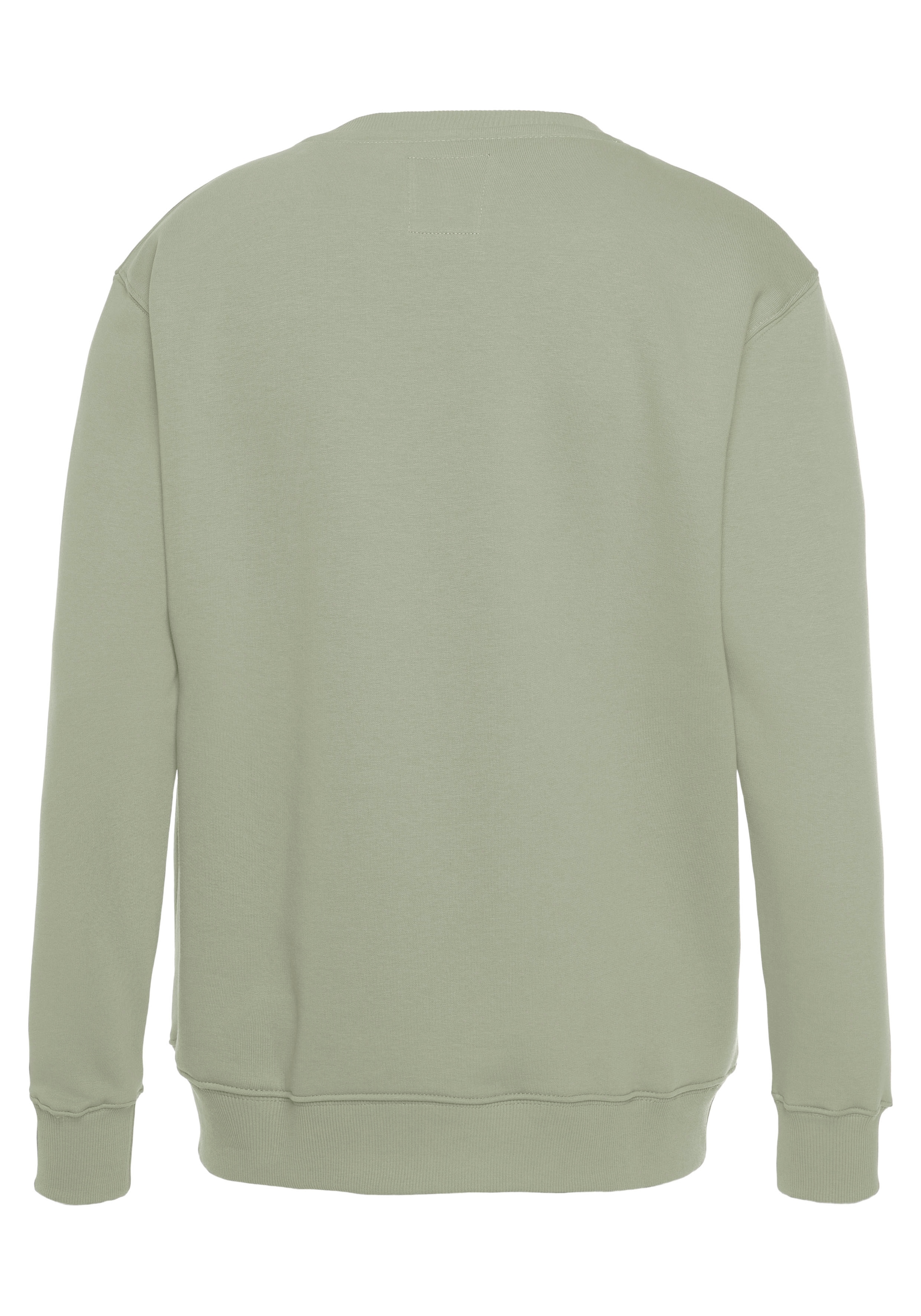 Alpha Industries Sweatshirt »Basic Sweater«