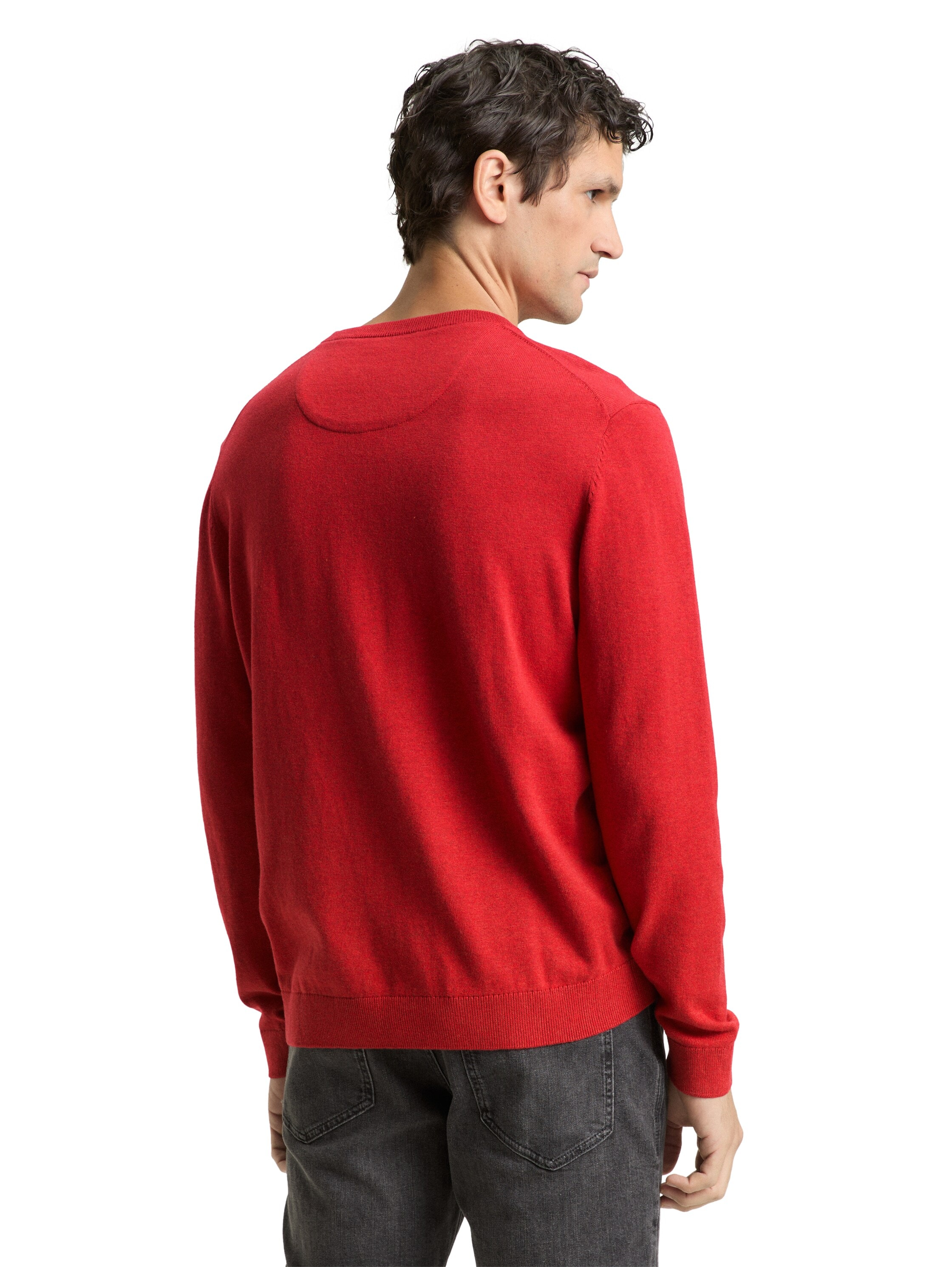 TOM TAILOR Rundhalspullover mit Logostickerei