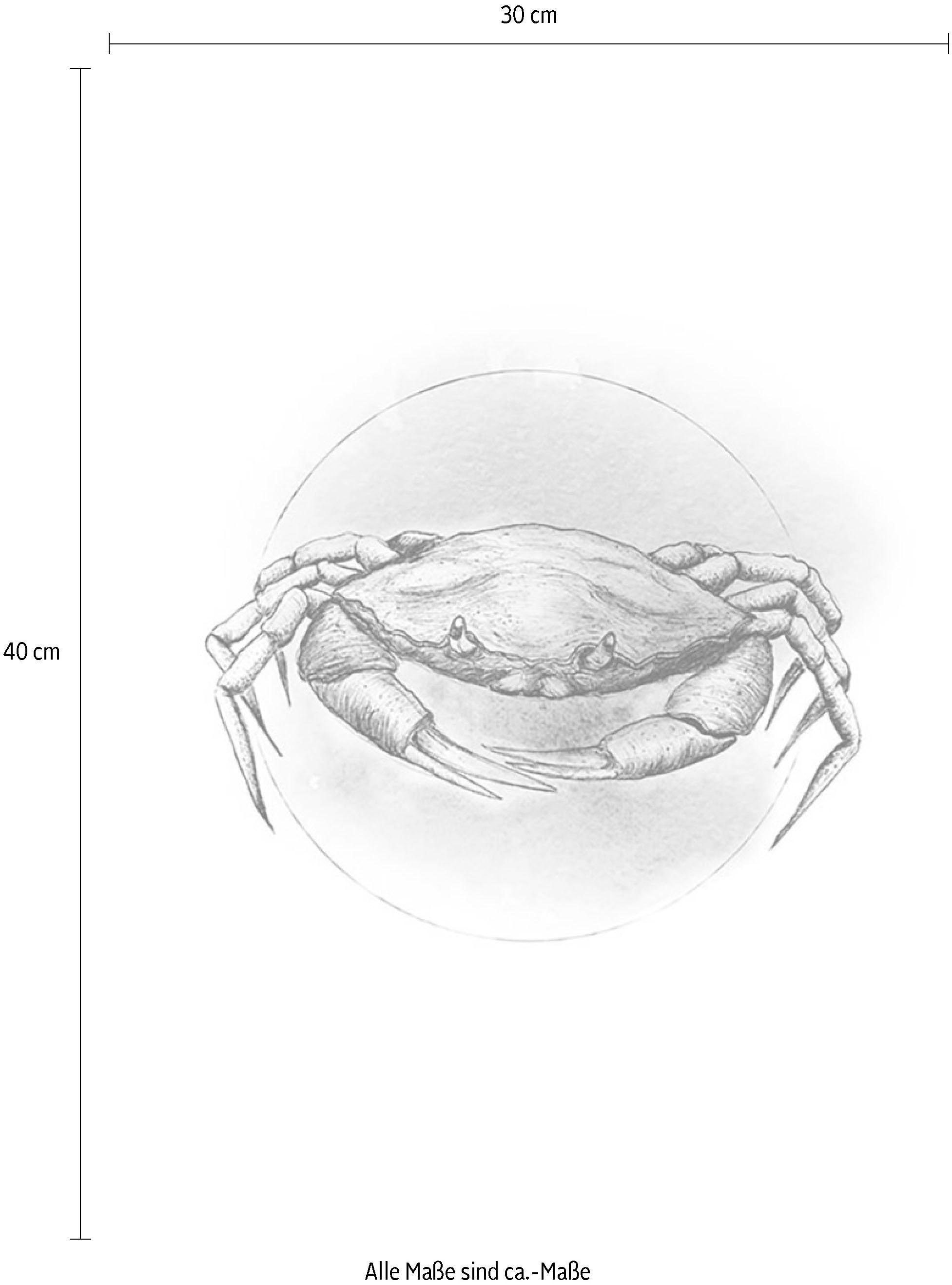 Komar Poster »Crab Watercolor«, Tiere, (Packung, 1 St., Anzahl Teile 1),  Kinderzimmer, Schlafzimmer, Wohnzimmer kaufen