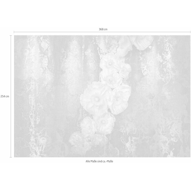 Trouver Komar Fototapete »Serafina«, 368x254 cm (Breite x Höhe), inklusive  Kleister sur