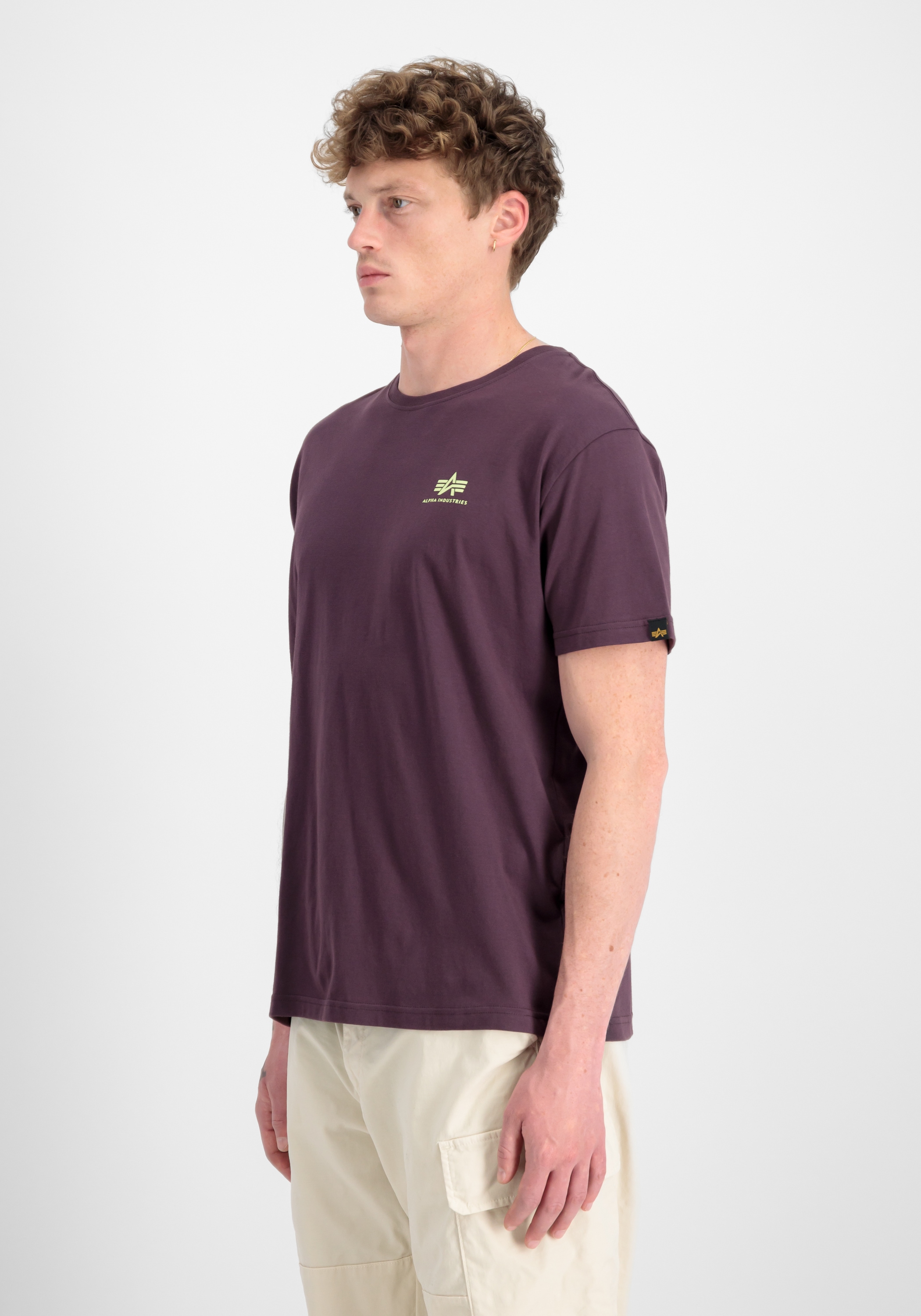Alpha Industries T-Shirt »Backprint T-Shirt«