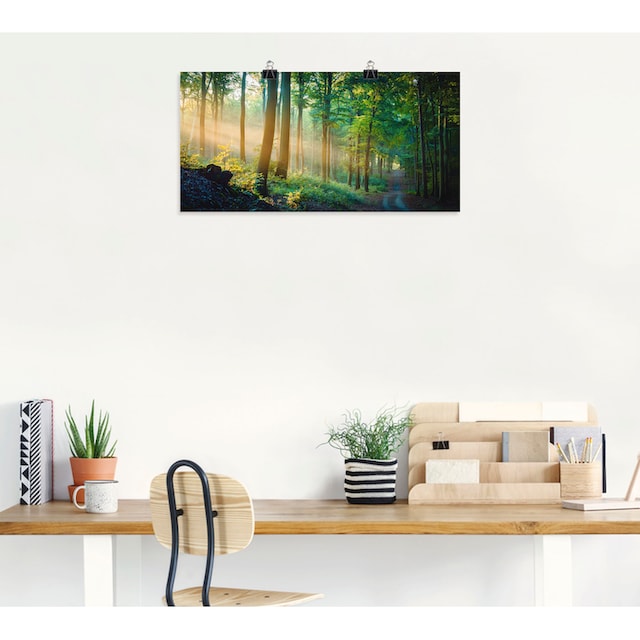 Artland Wandbild »Herbstmorgen im Wald«, Waldbilder, (1 St.), als Alubild,  Leinwandbild, Wandaufkleber oder Poster in versch. Grössen günstig kaufen