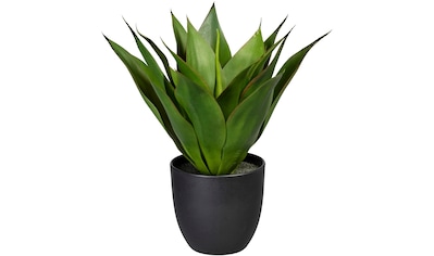 bequem Zimmerpflanze Creativ Künstliche green im kaufen »Anthurium«, Melamintopf
