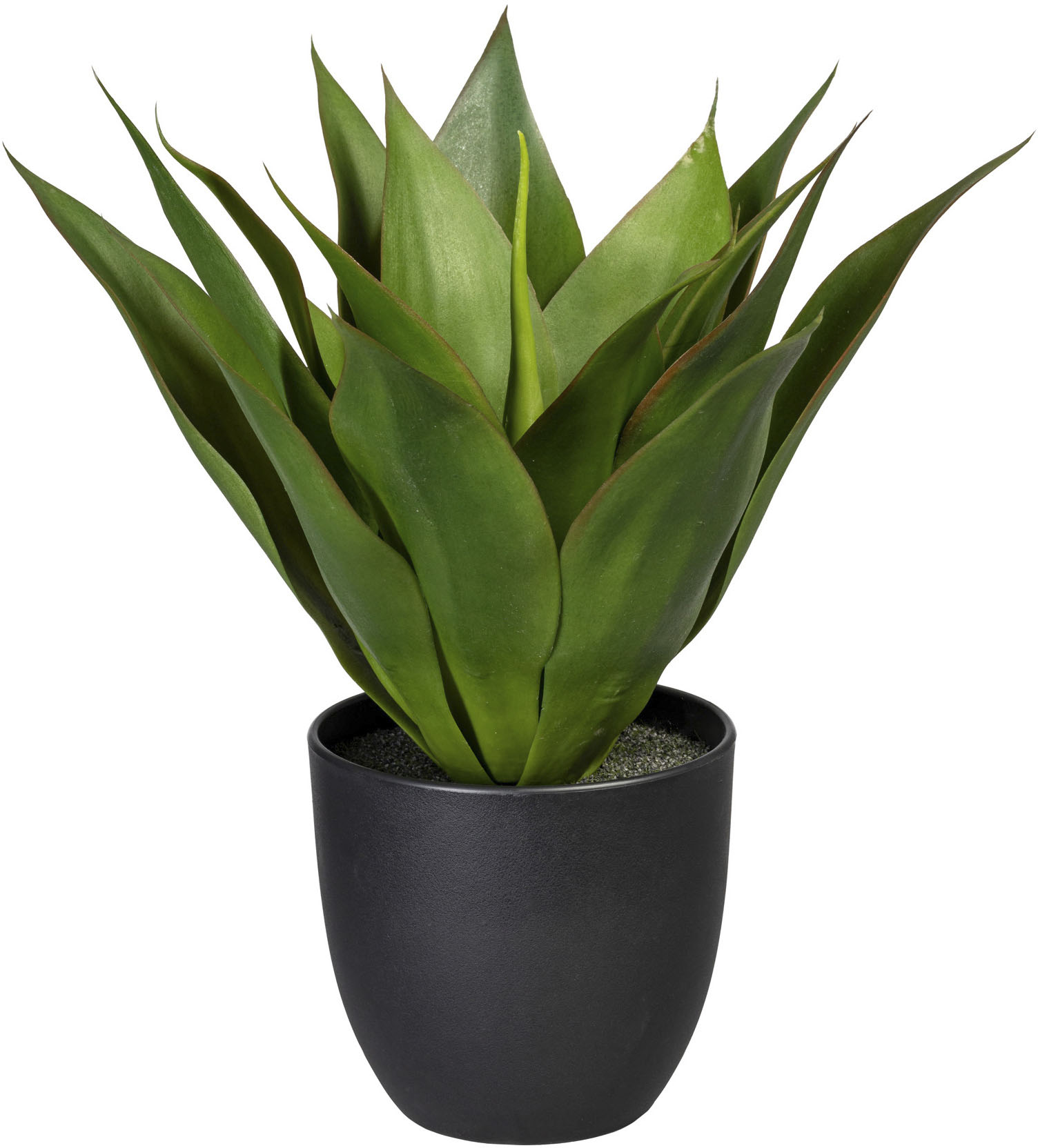 kaufen Melamintopf im »Anthurium«, green bequem Creativ Künstliche Zimmerpflanze