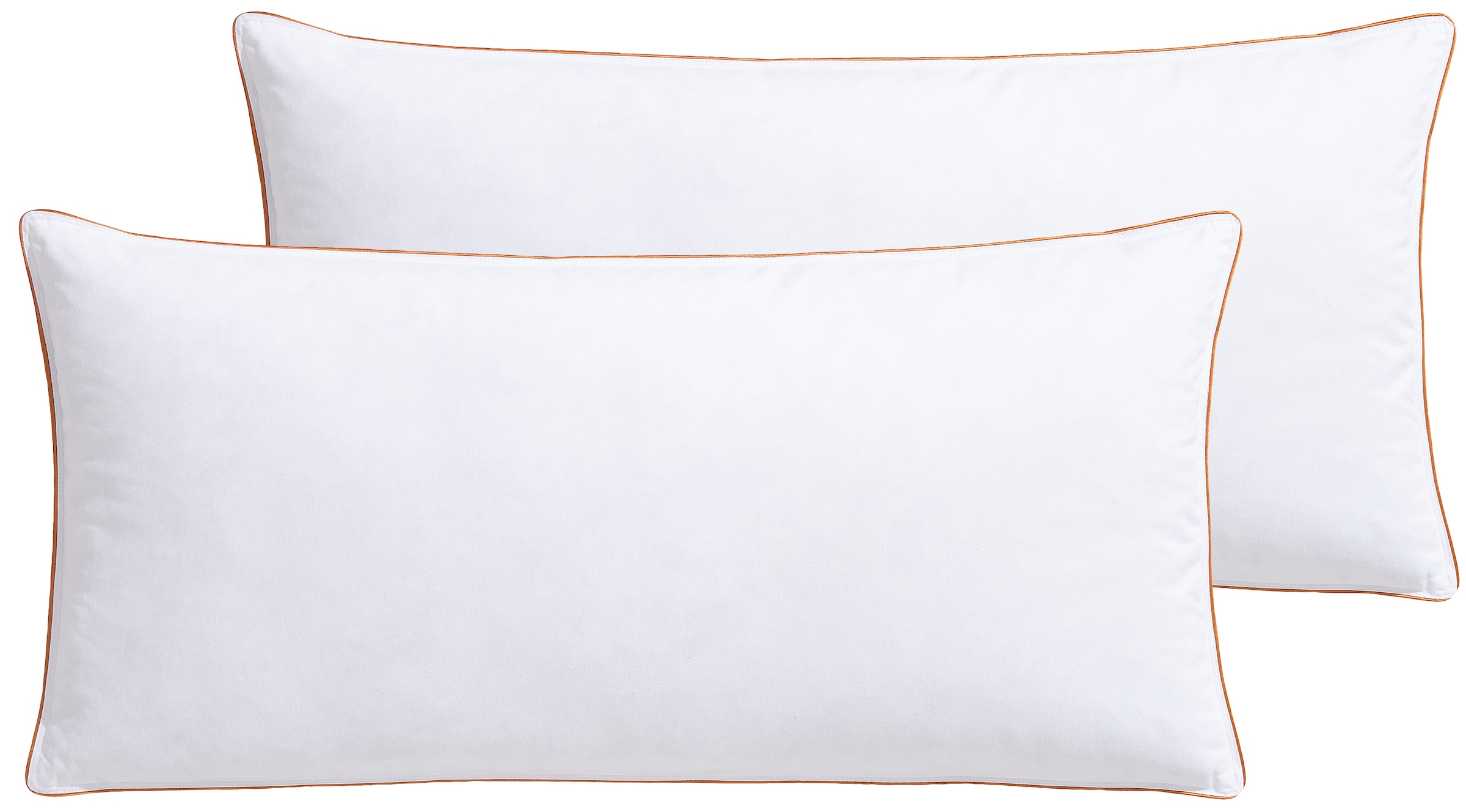 Image of RIBECO Federkissen "Kopfkissen Richard, Kissen mit Daunenanteil, in 40x80 oder 80x80 cm" Füllung: 90% Federn & 10 % Daunen 2 Stk. tlg. Seit 105 Jahren überzeugt RIBECO durch Qualität