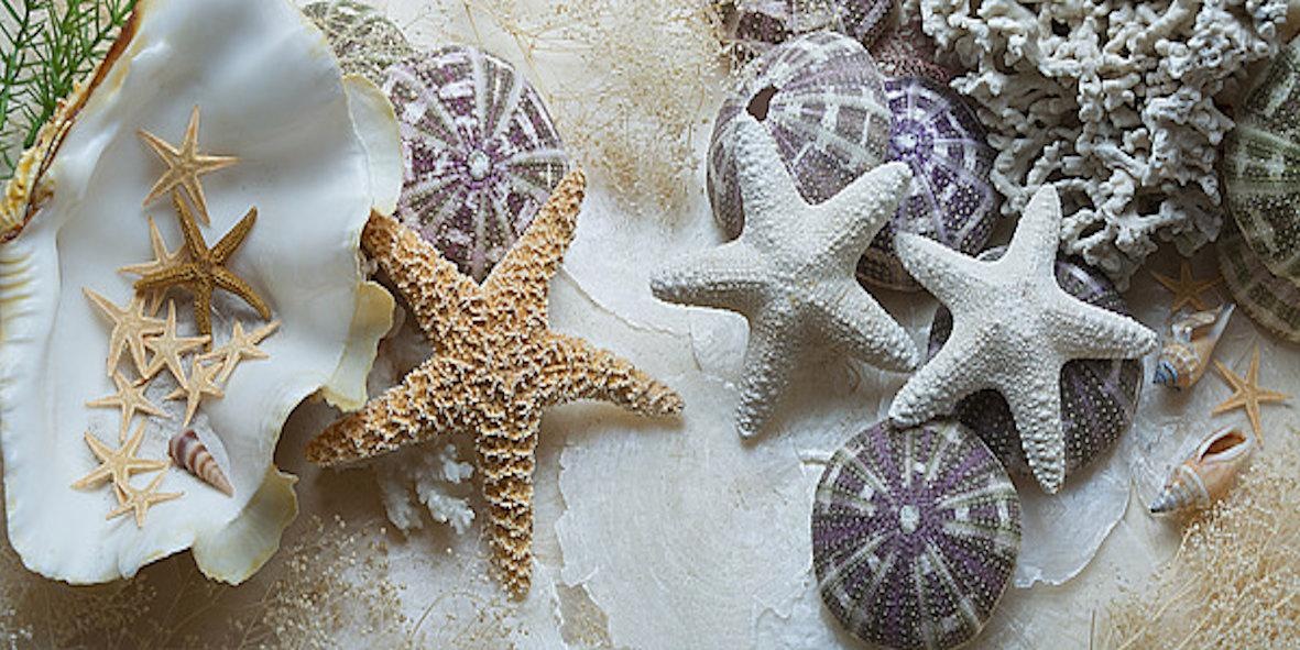 Image of Home affaire Leinwandbild »A.BLAUSTEIN/Island 4«, 100/50 cm bei Ackermann Versand Schweiz