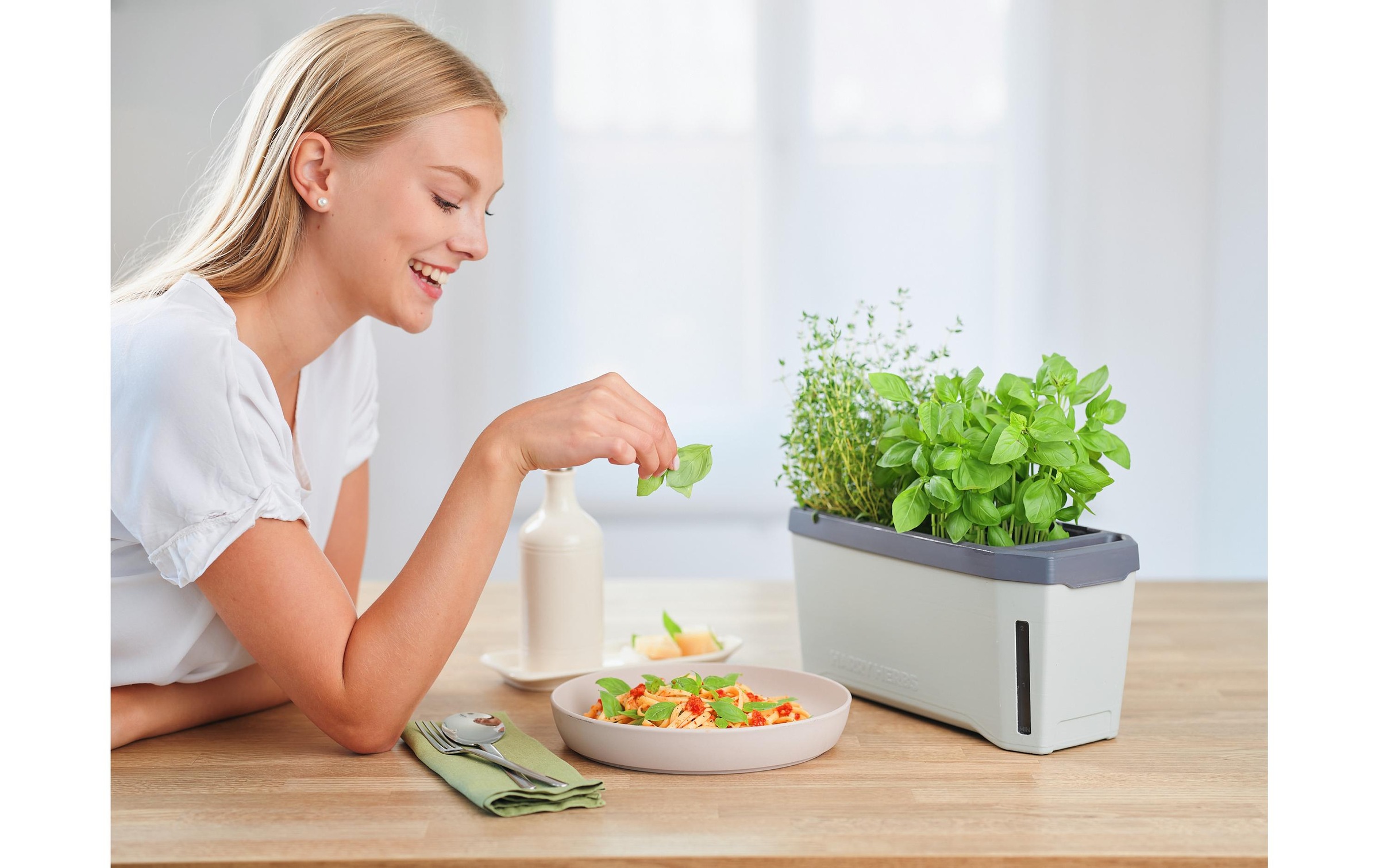 Gusta Garden Kräutertopf »HERBS hellgrau«