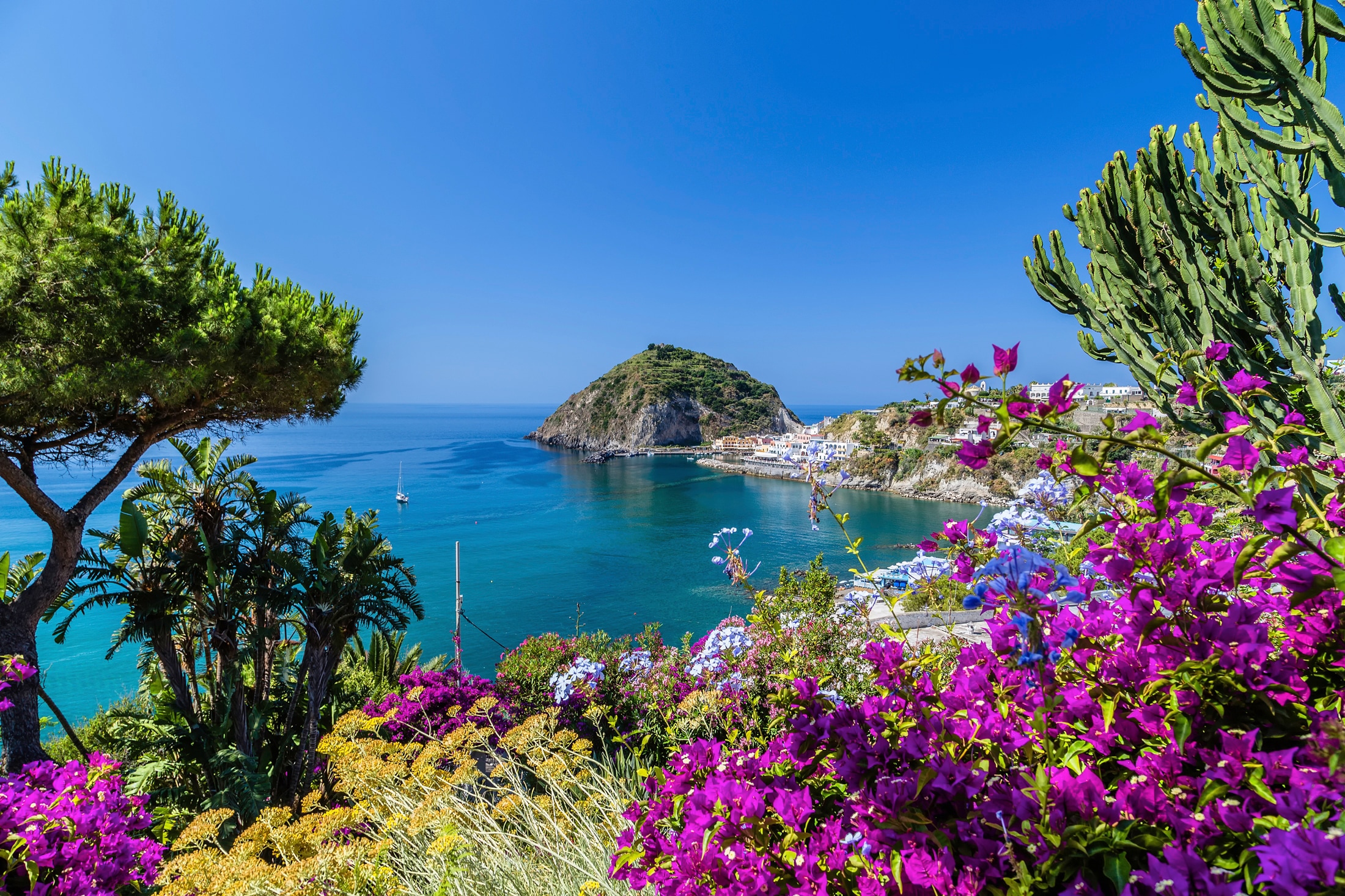Image of Papermoon Fototapete "ISCHIA ITALIEN-BOUGANVILLA INSEL MEER BLUME FELSEN WALD"