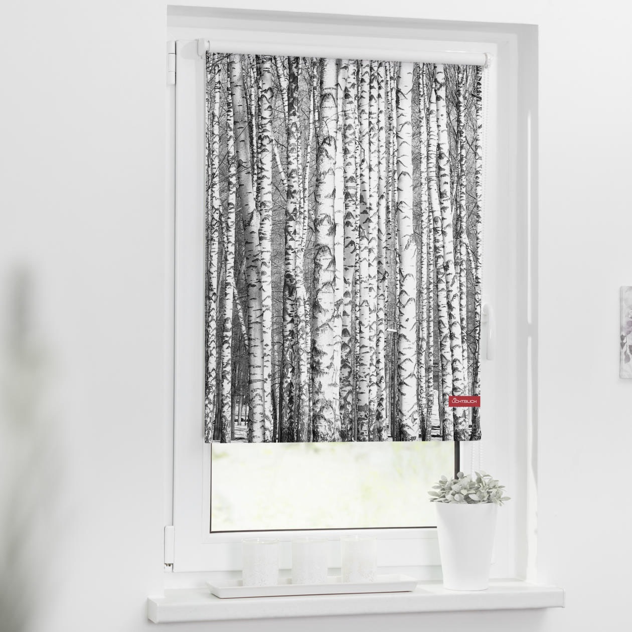 Image of LICHTBLICK ORIGINAL Seitenzugrollo »Rollo Klemmfix, ohne Bohren, Verdunkelung, Birken - Schwarz-Weiss«, verdunkelnd, Verdunkelung-energiesparend, freihängend bei Ackermann Versand Schweiz