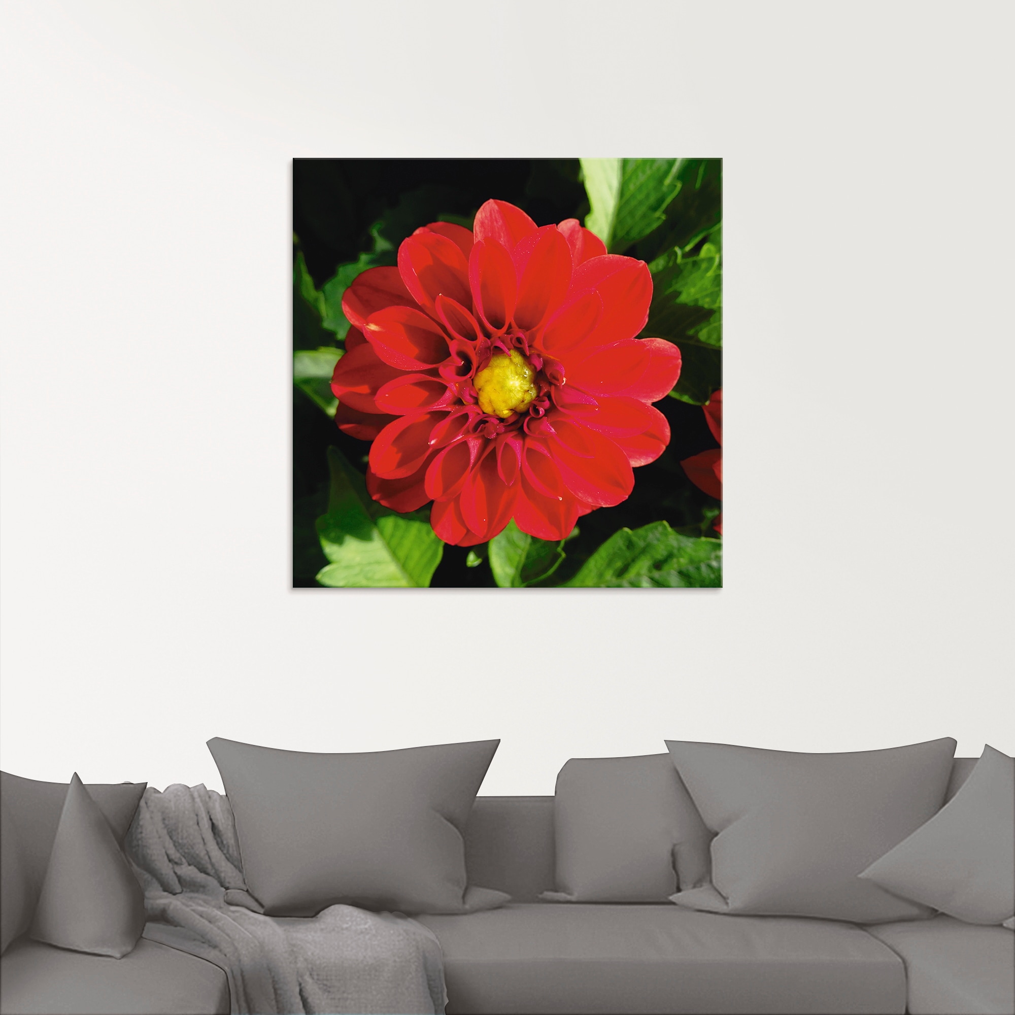 Artland Glasbild »Rote Dahlienblüte«, Blumen, (1 St.), in verschiedenen Grössen