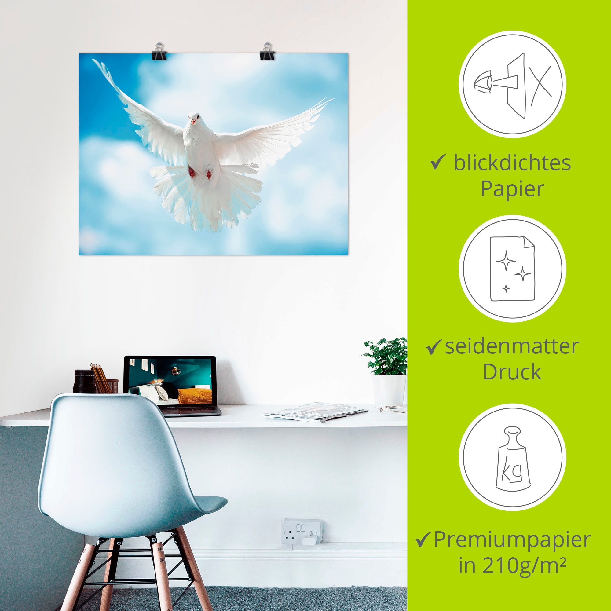 Artland Wandbild »Taube mit ausgebreiteten Flügeln« Vögel 1 Stk. tlg. als Alubild, Leinwandbild, Poster in verschied. Grössen