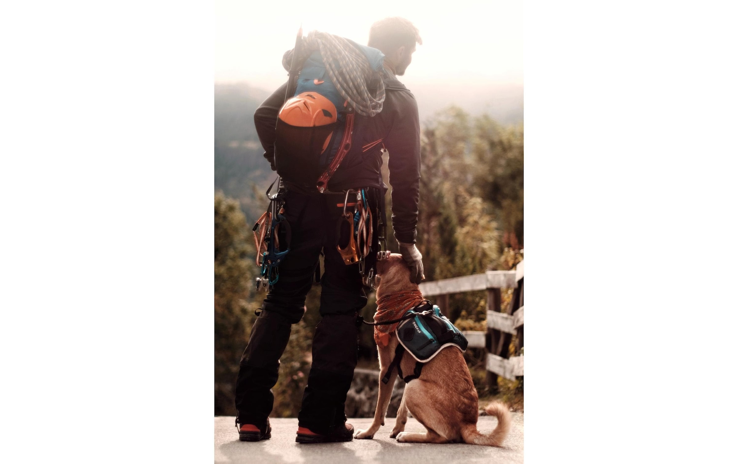   Hunde-Geschirr »DOGPAK Moab Lite Hunderucksack M« Rucksack und Wandergeschirr für Hunde aus «Die Höhle der Löwen»