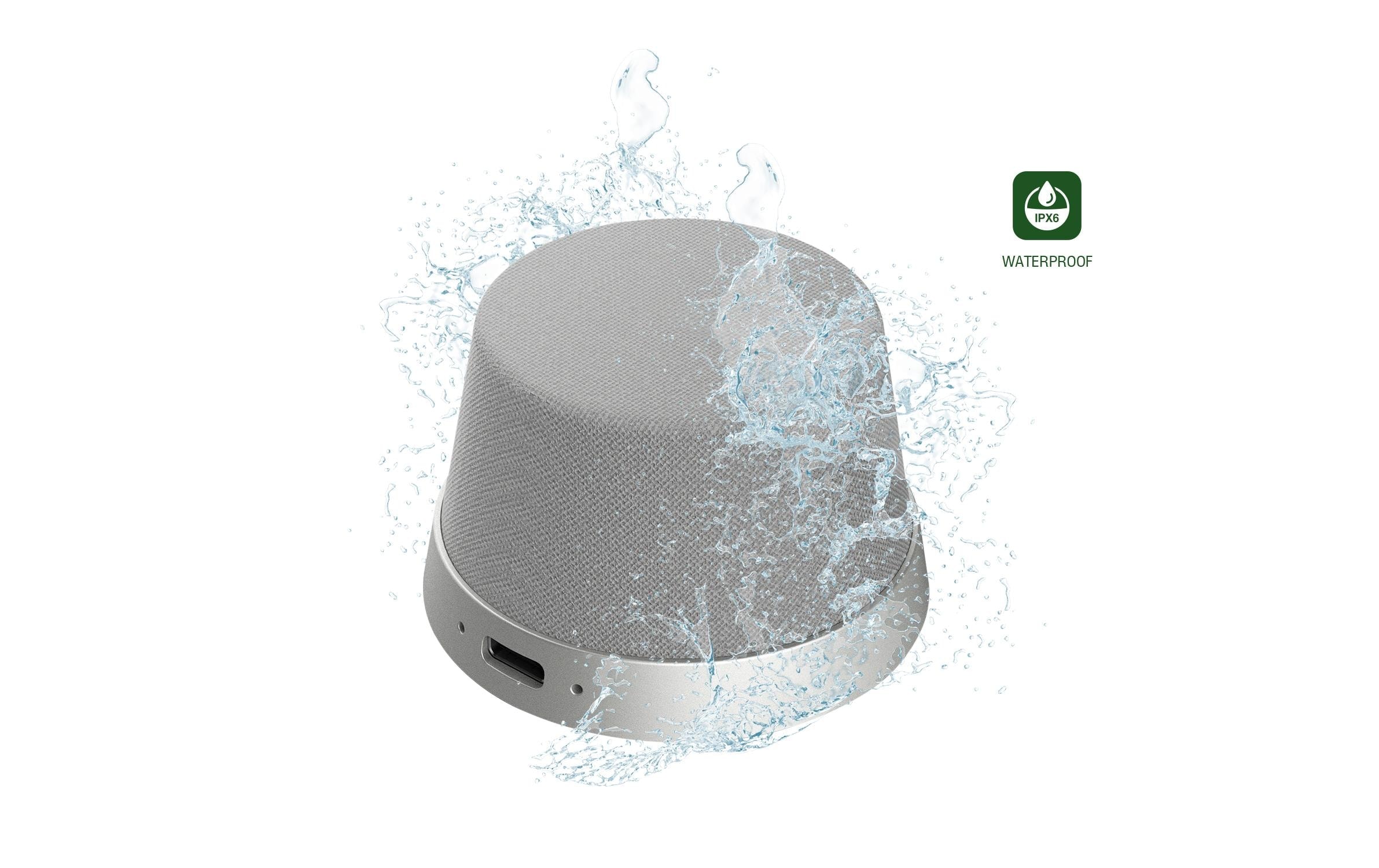 4smarts Bluetooth-Speaker »SoundForce Grau, Silberfarben«