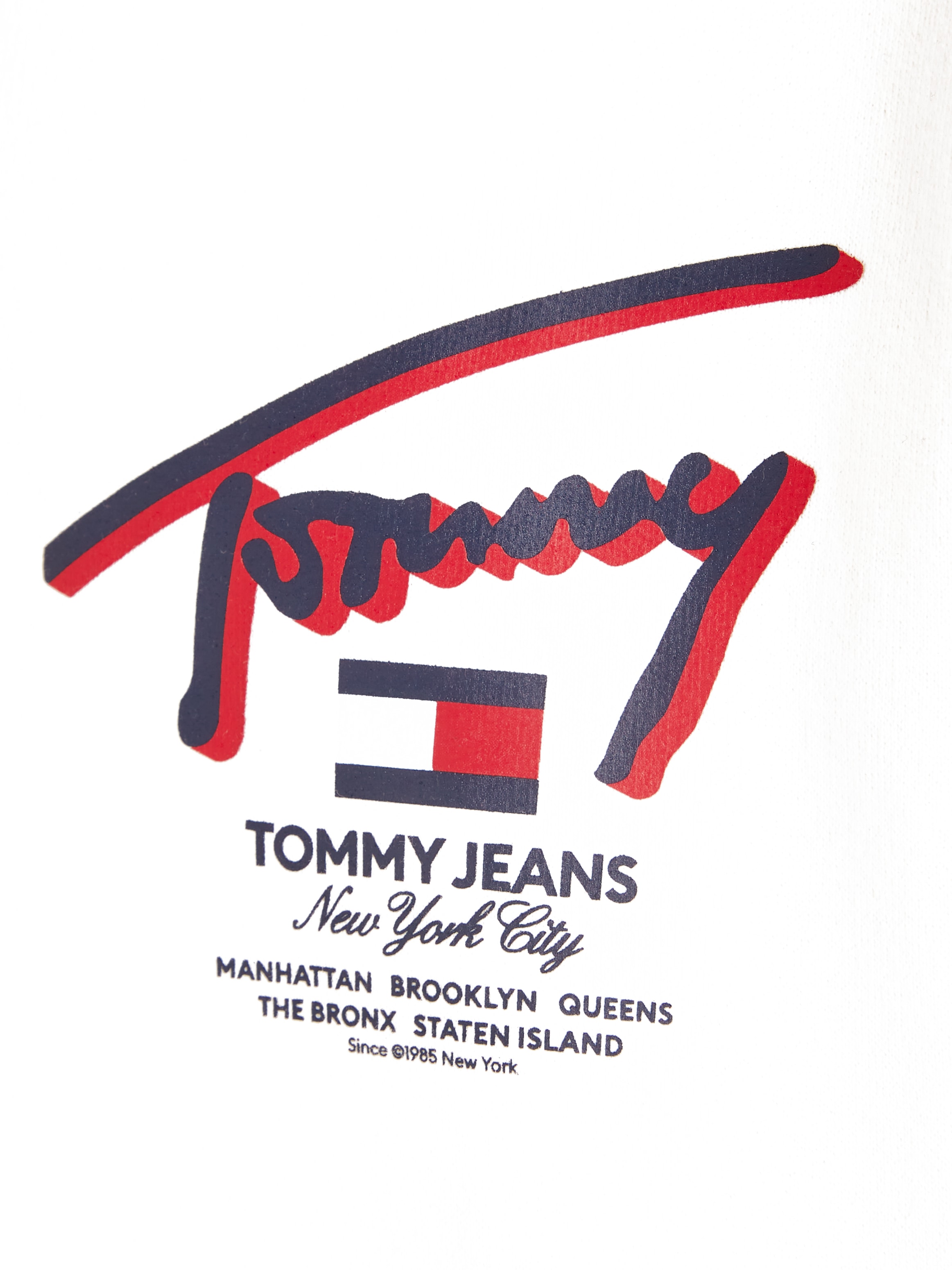 Tommy Jeans Hoodie »TJM REG 3D STREET TJ HOOD EXT«