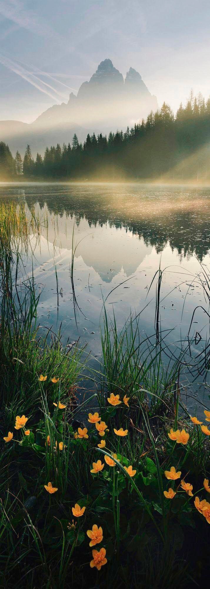 Image of Komar Vliestapete "Digitaldruck Vlies - Morning Mist - Grösse 100 x 280 cm" bedruckt glatt Wohnzimmer, Schlafzimmer