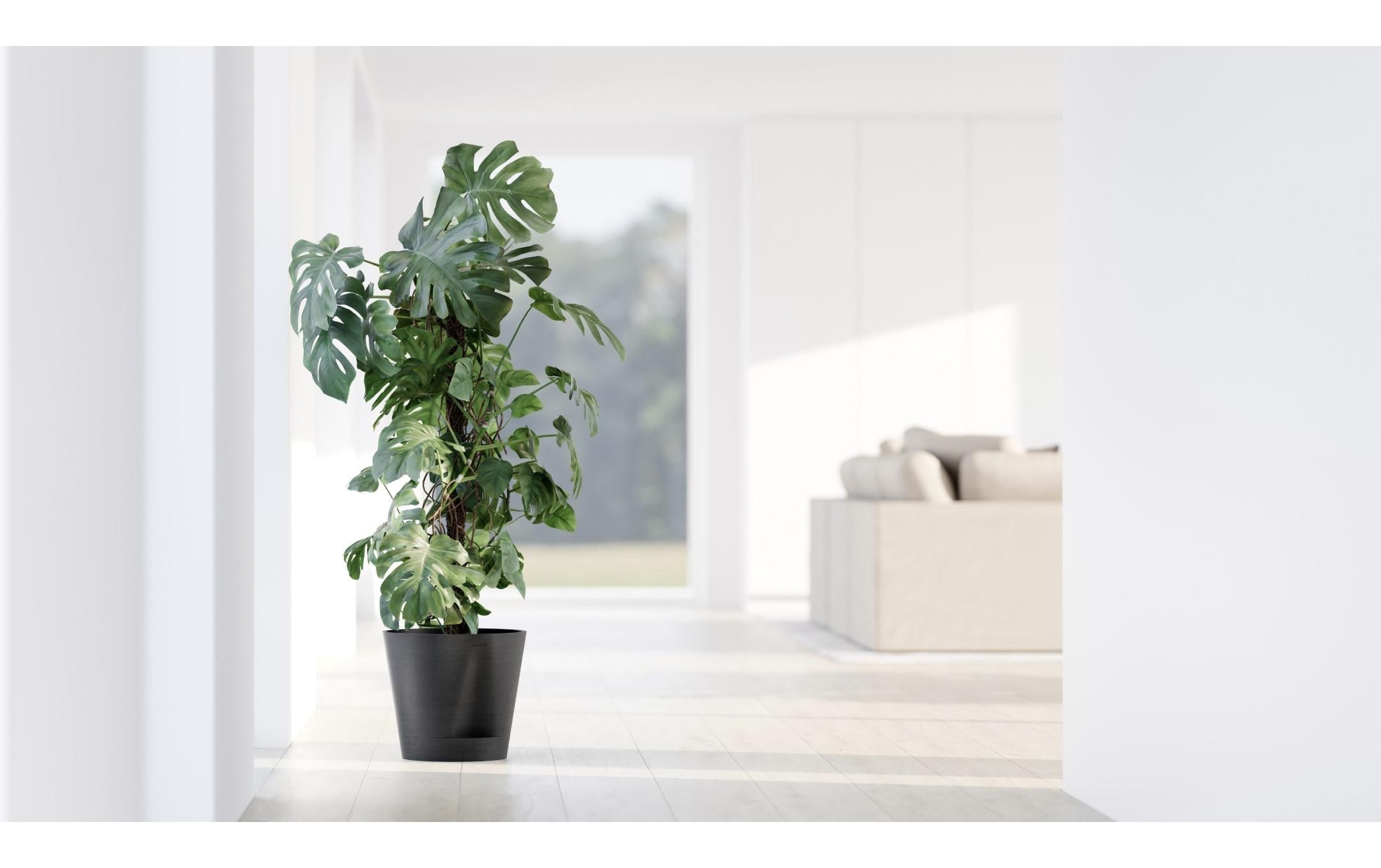 ECOPOTS Pot de fleurs »Venice 2 Ø 30 cm«