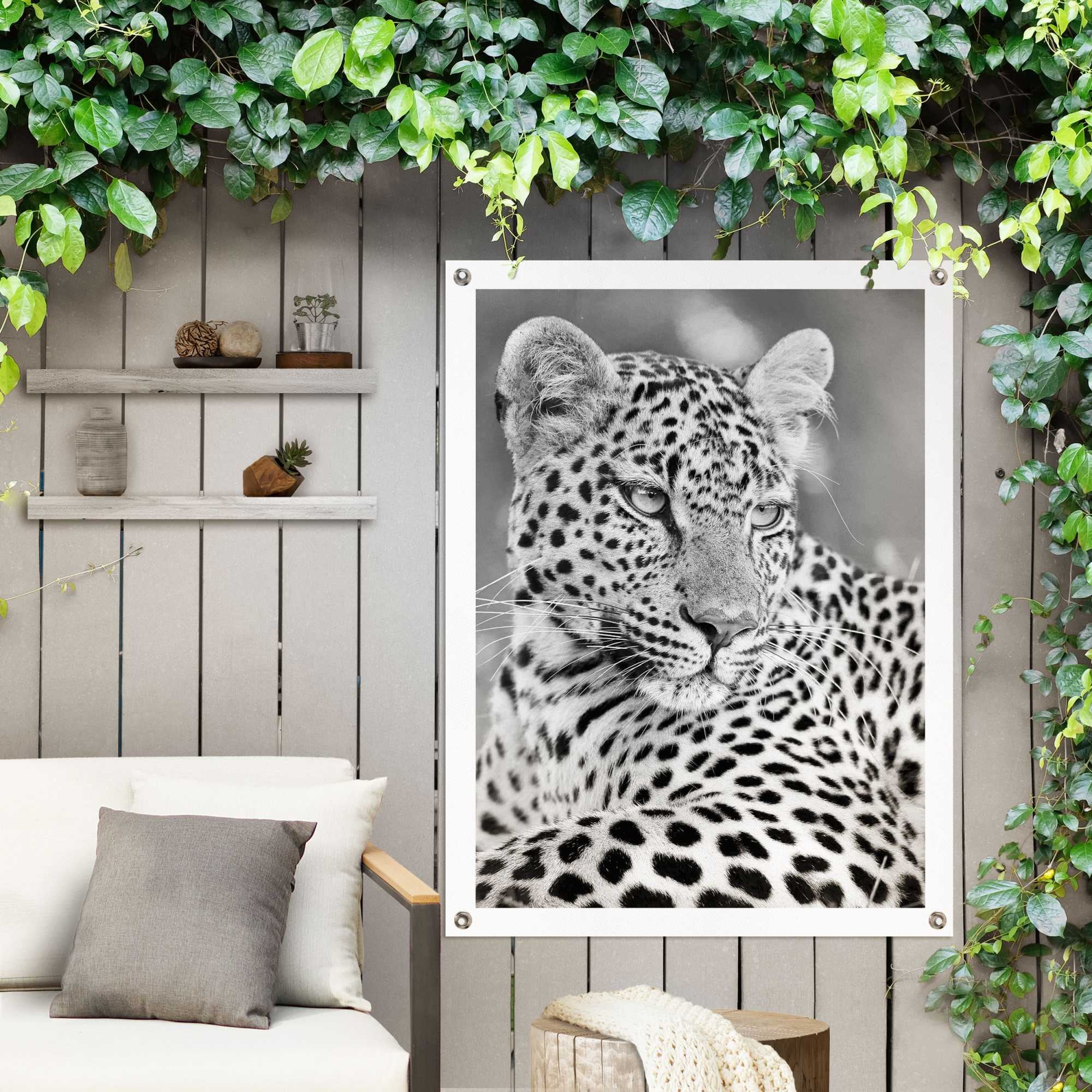 Image of Reinders Poster "Leopard" Outdoor für Garten oder Balkon