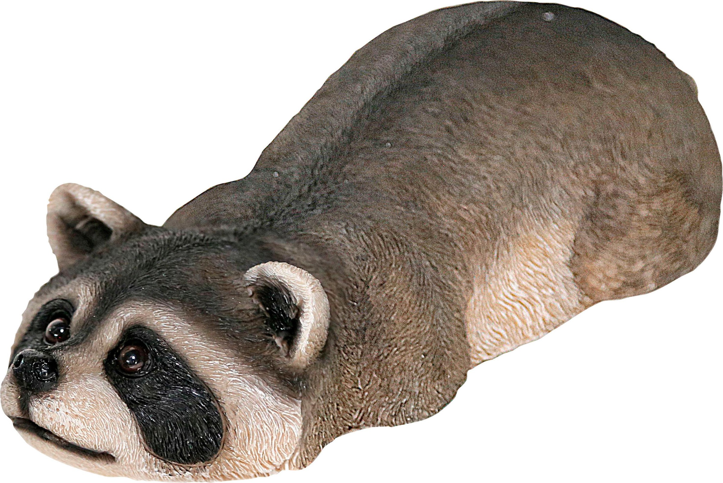 Image of Casa Collection by Jänig Dekofigur »Waschbär schwimmend« bei Ackermann Versand Schweiz