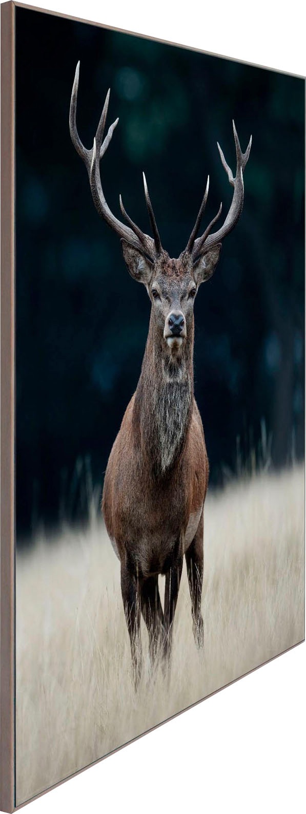 Reinders! Wandbild »Slim kaufen 50x70 Deer« bequem Wood Frame