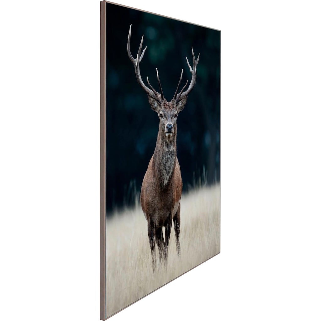 Reinders! Wandbild »Slim Frame Wood 50x70 Deer«
