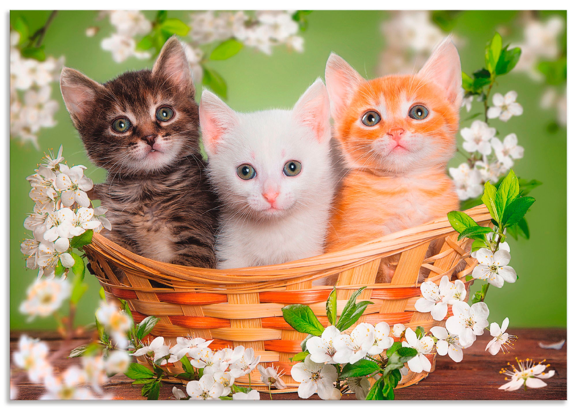 Wandbild »Katzen sitzen in einem Korb«, Haustiere, (1 St.), als Leinwandbild, Poster,...