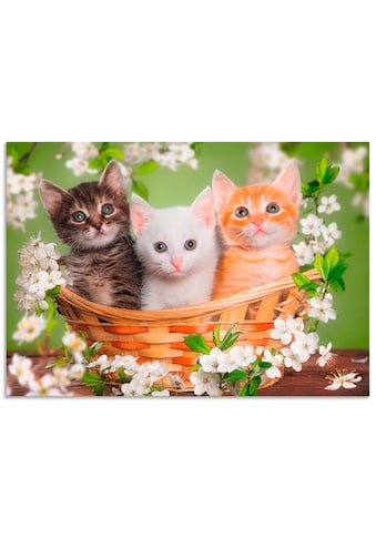 Wandbild »Katzen sitzen in einem Korb«, Haustiere, (1 St.)