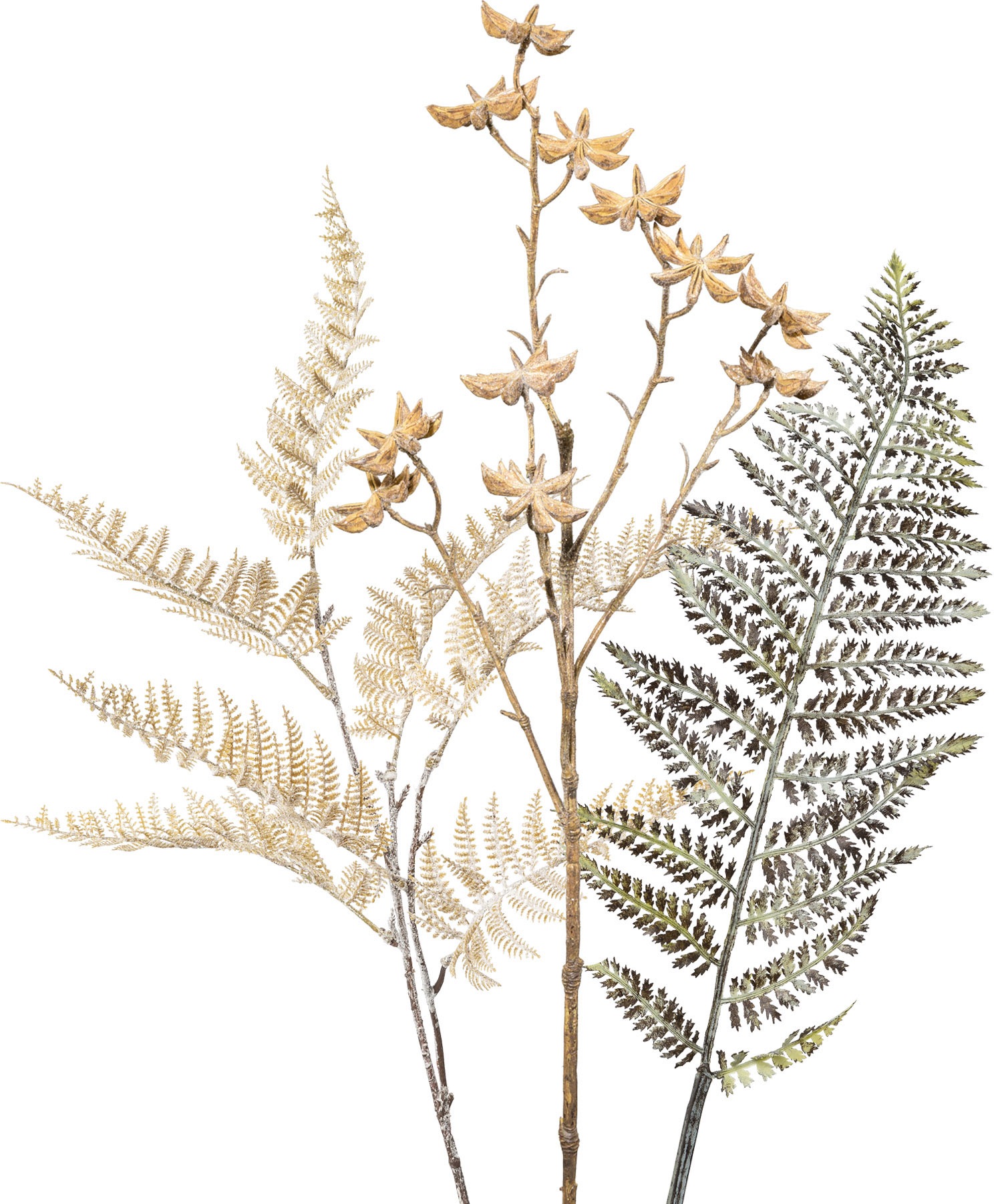 Image of LeGer Home by Lena Gercke Kunstzweig »Fay«, (Set, 3 St.), Farnzweig, Lederfarnzweig, Sternarnis bei Ackermann Versand Schweiz