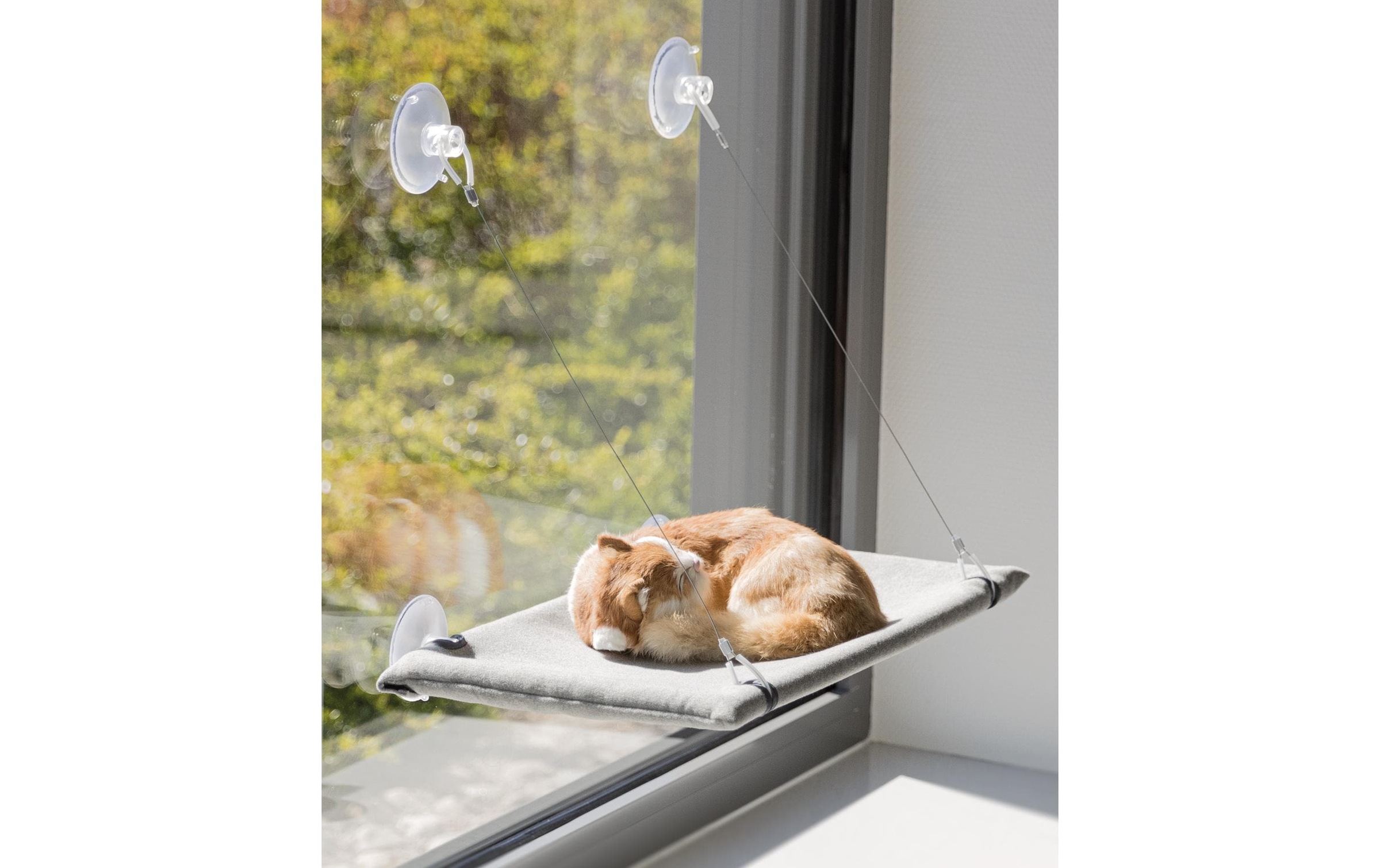 TRIXIE Chaise longue pour chats »Trixie Liegeplatz für Fensterscheib«