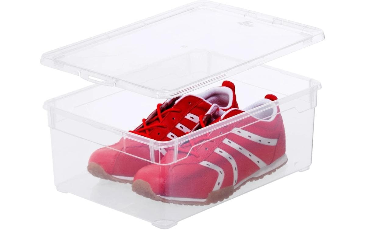 ROTHO Aufbewahrungsbox »Men Shoe Transparent, 3 tlg.«, (3 St.)