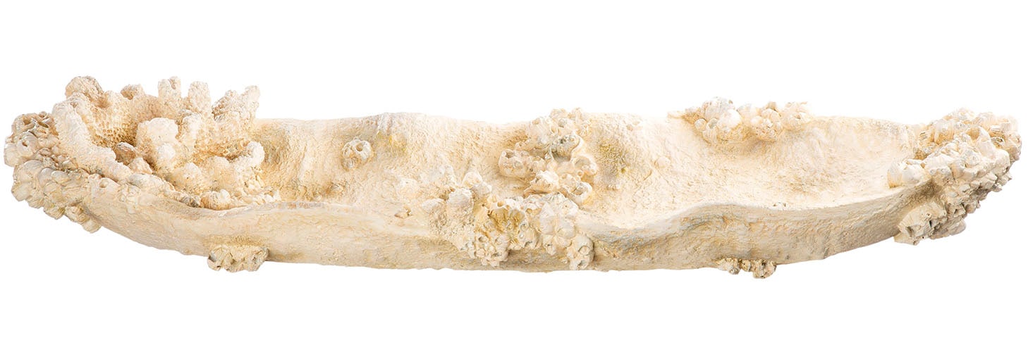 GILDE Dekoschale »Schale Amphora Seychelles weiss H. 10,5 cm«